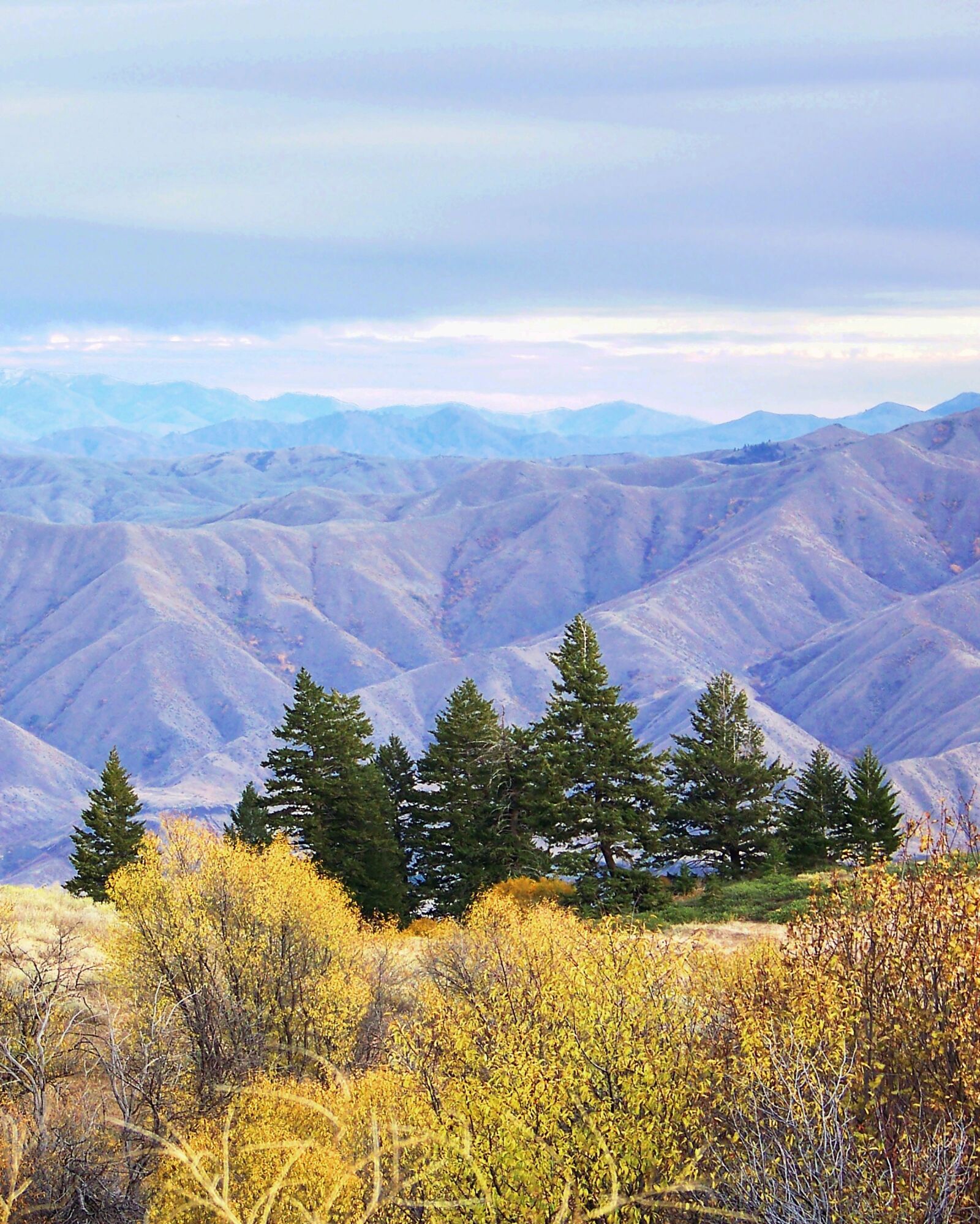 Kodak Z712 IS ZOOM DIGITAL CAMERA sample photo. Pine trees, mountains, fall photography