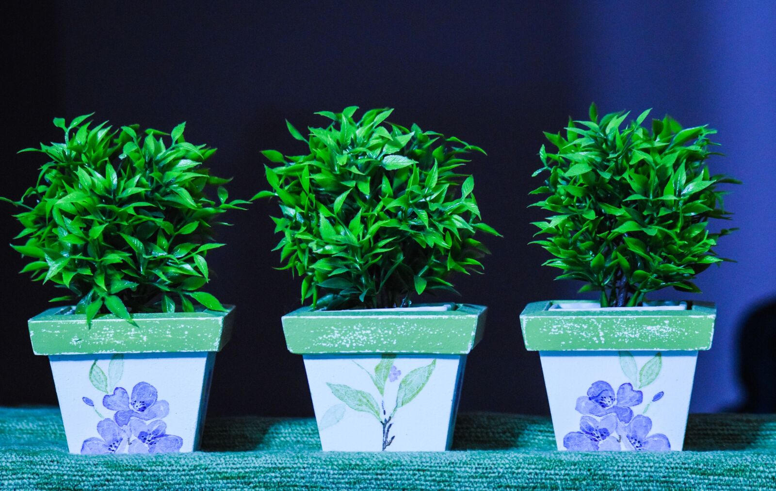 Nikon D5500 sample photo. Pots, decoration, artificial photography