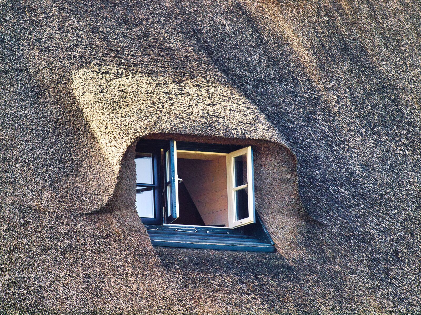 Olympus E-30 sample photo. Sylt, roof windows, reed photography