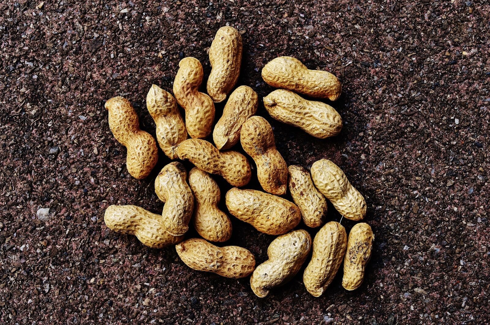 Nikon D7200 sample photo. Peanuts, shell, food photography