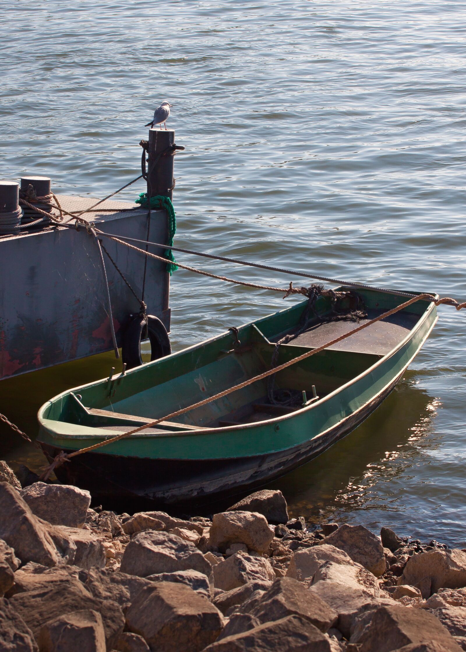 Canon EOS 50D sample photo. Boat, rhine, water photography