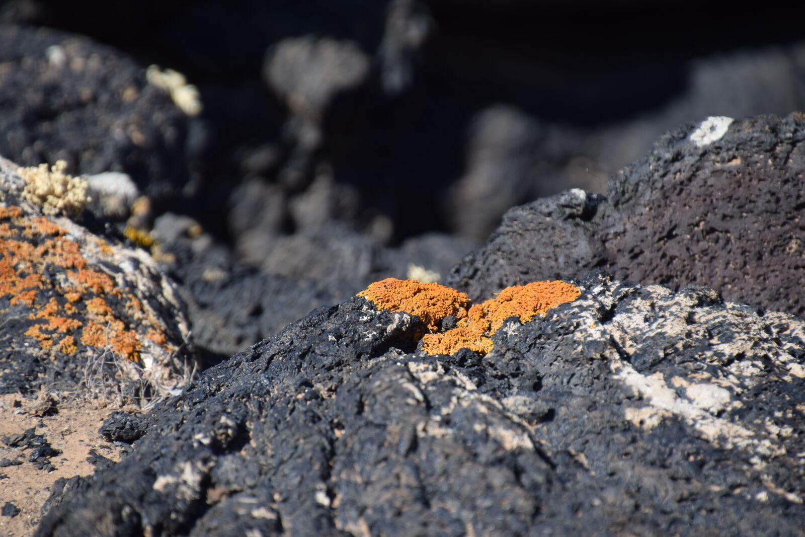 Nikon D3300 sample photo. Lanzarote, spain, lava photography