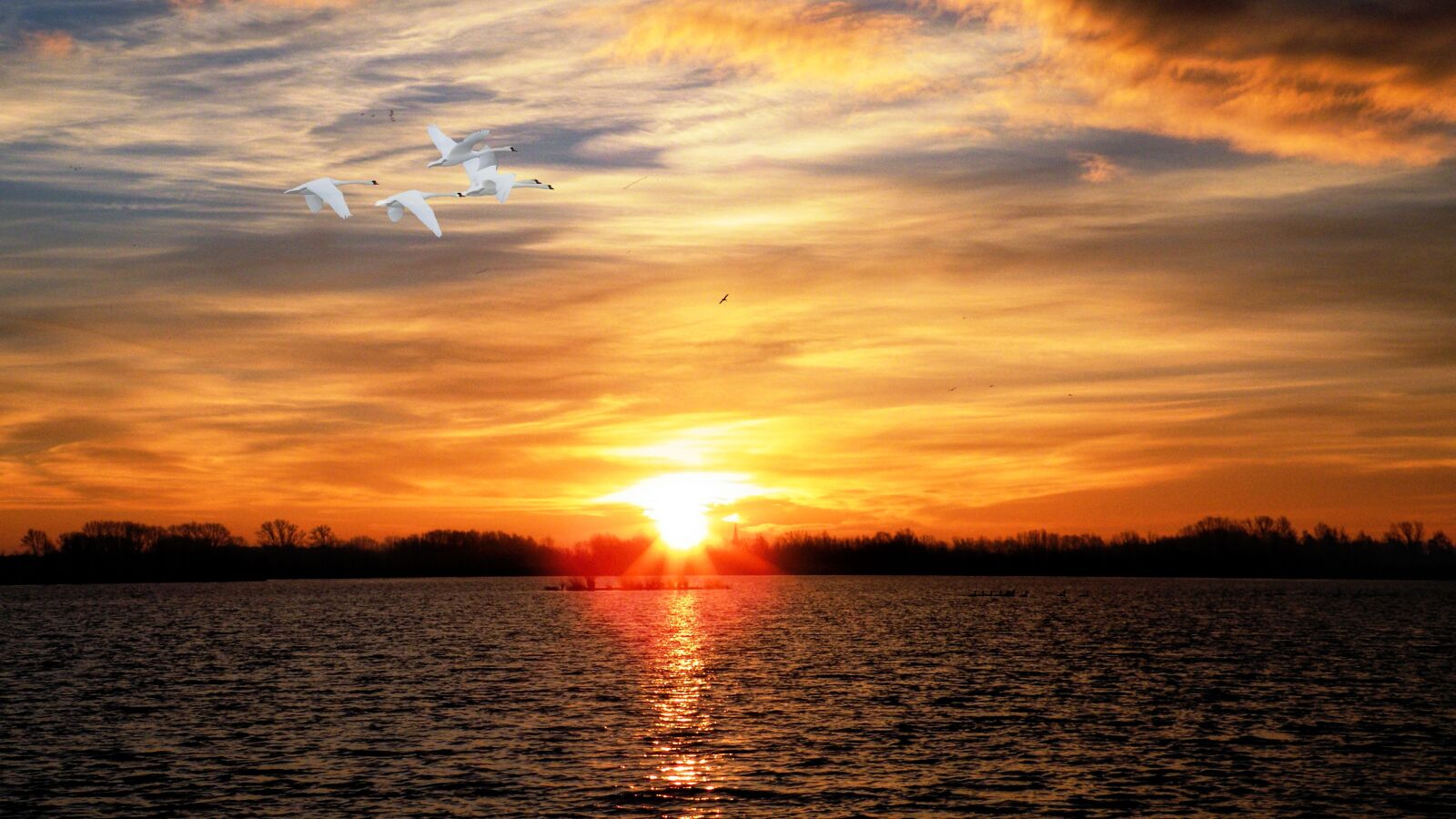 Fujifilm FinePix S8100fd sample photo. Sunset, lake, swans photography