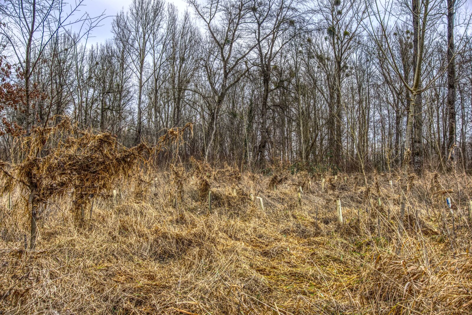 Sony E 16-50mm F3.5-5.6 PZ OSS sample photo. Devastation, high water, over photography