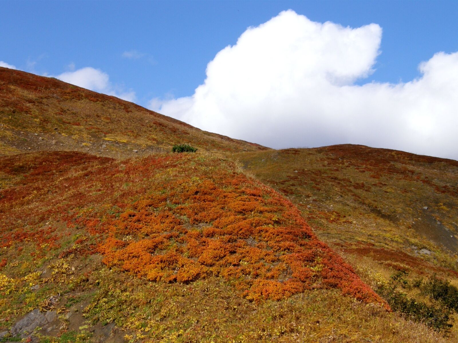 Olympus SP550UZ sample photo. Autumn, mountains, clouds photography