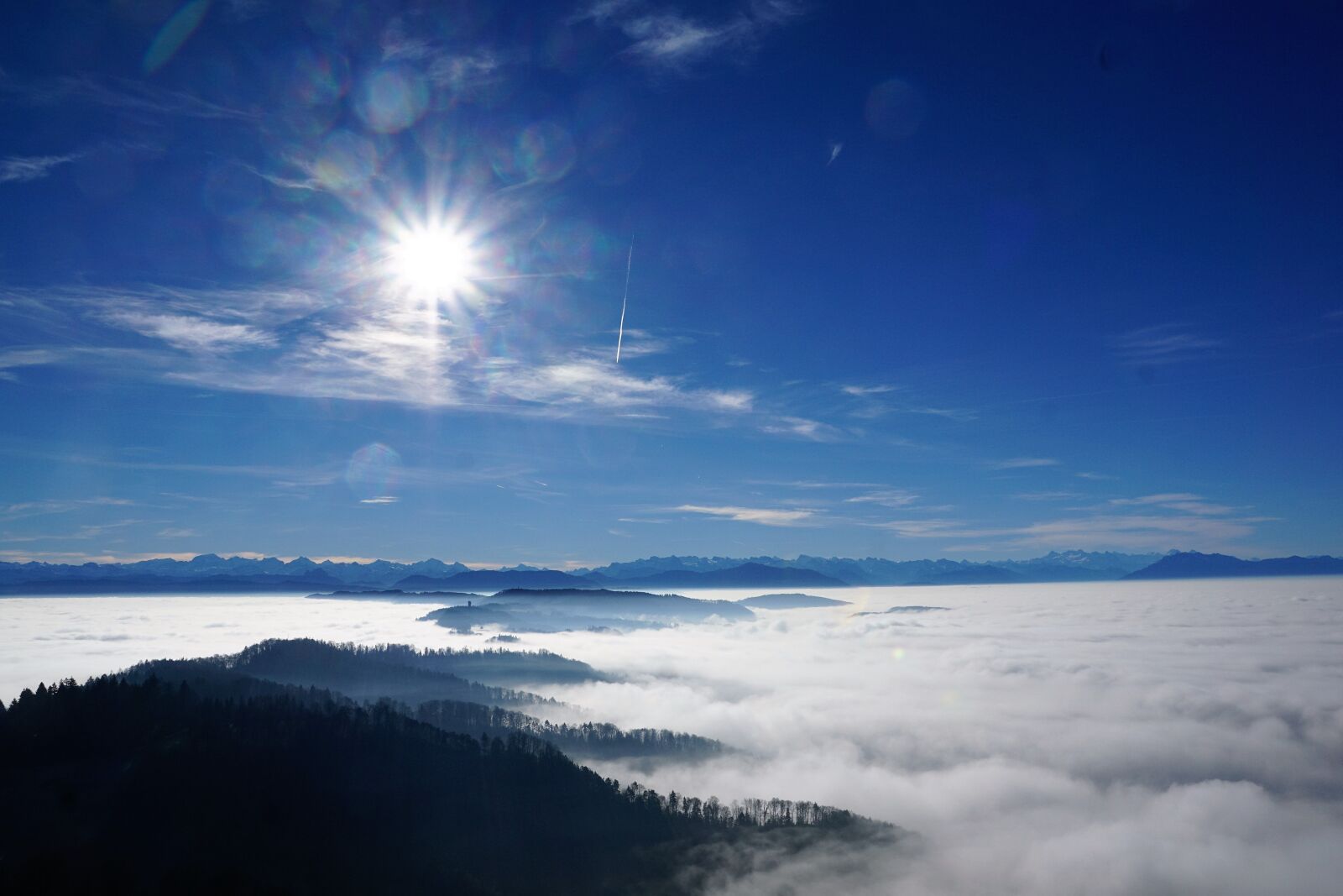 Sony ILCA-77M2 + Sony DT 16-50mm F2.8 SSM sample photo. Uetliberg, zurich, nature photography