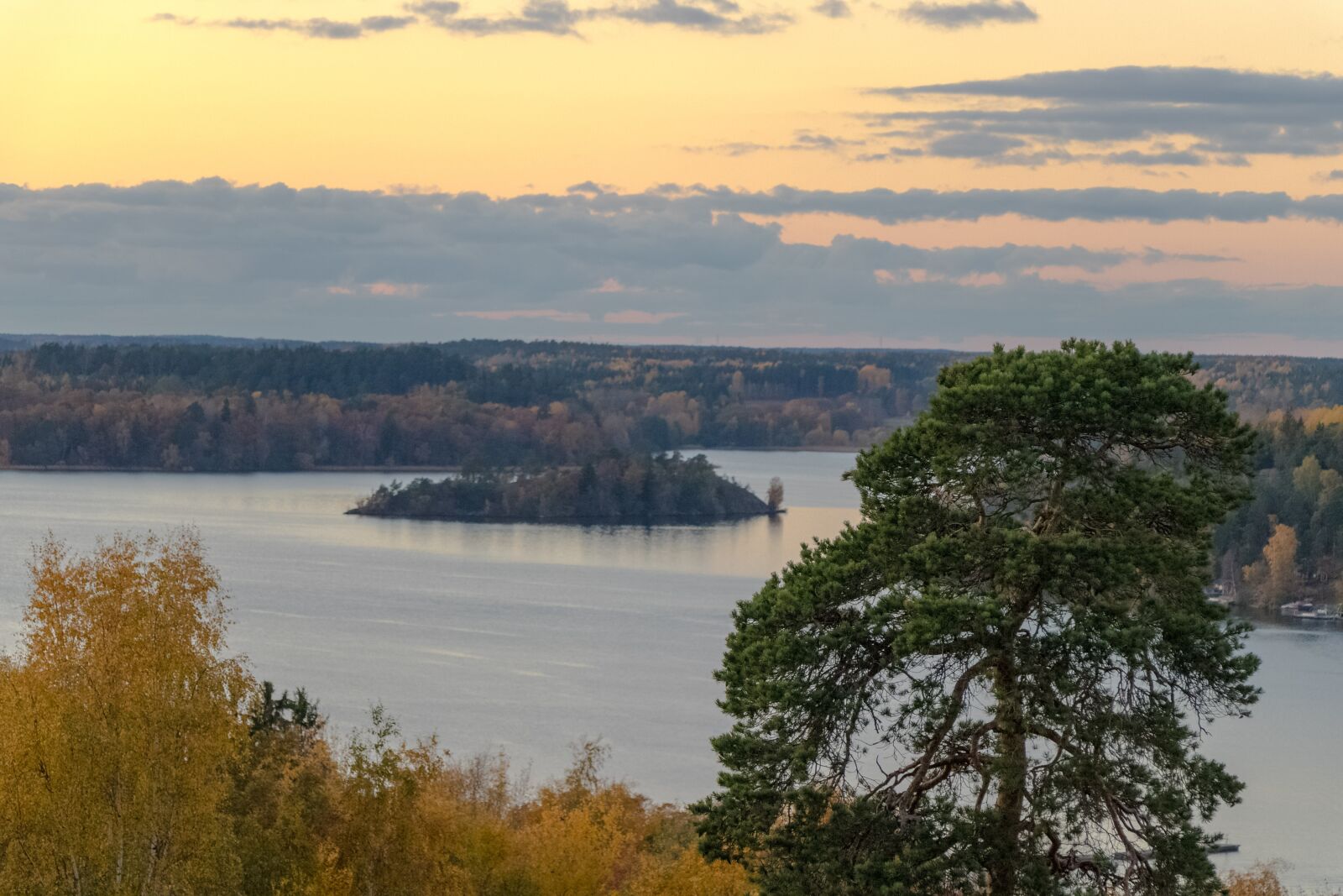 Canon EOS 80D sample photo. Sweden, stockholm, photo photography