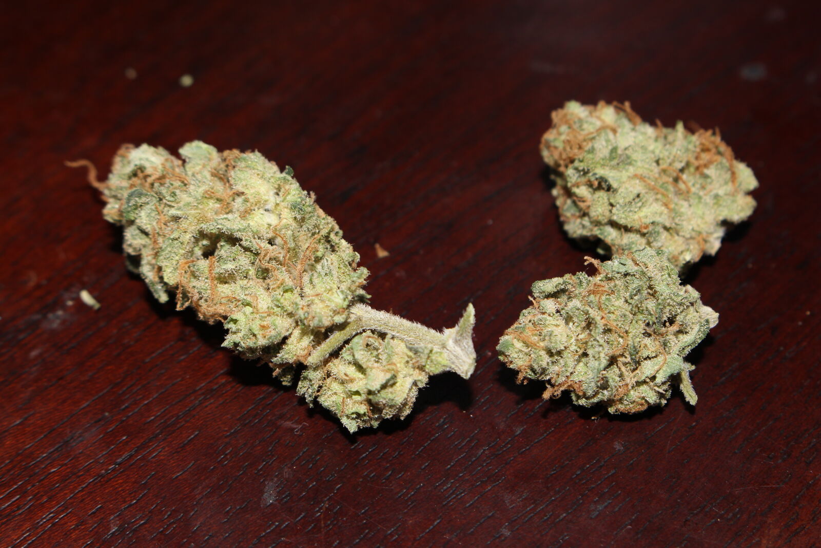 Canon EOS 700D (EOS Rebel T5i / EOS Kiss X7i) sample photo. 420, 710, cannabis, ganja photography