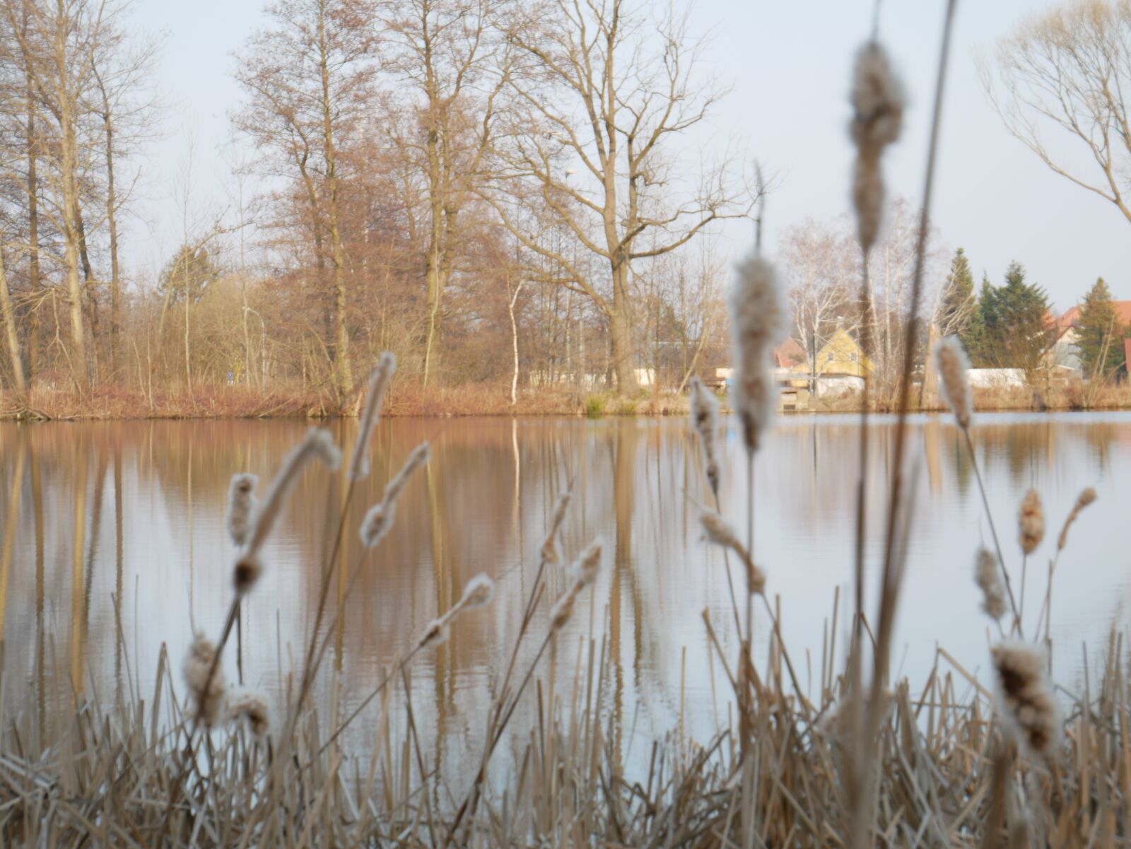 Panasonic DMC-G81 sample photo. Nature, lake, pond photography