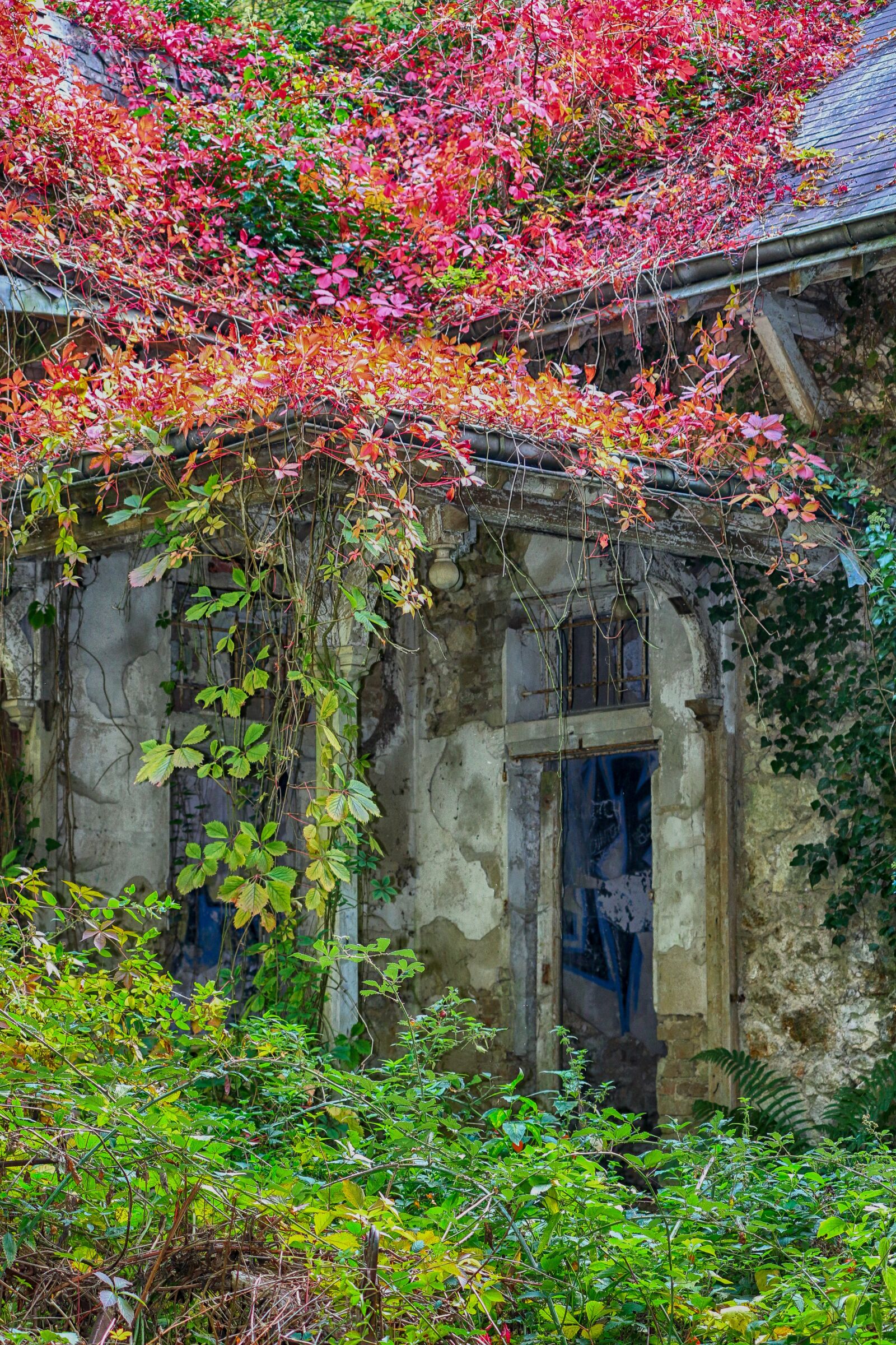 Canon EOS 70D + Canon EF-S 55-250mm F4-5.6 IS II sample photo. House, abandoned, forest photography