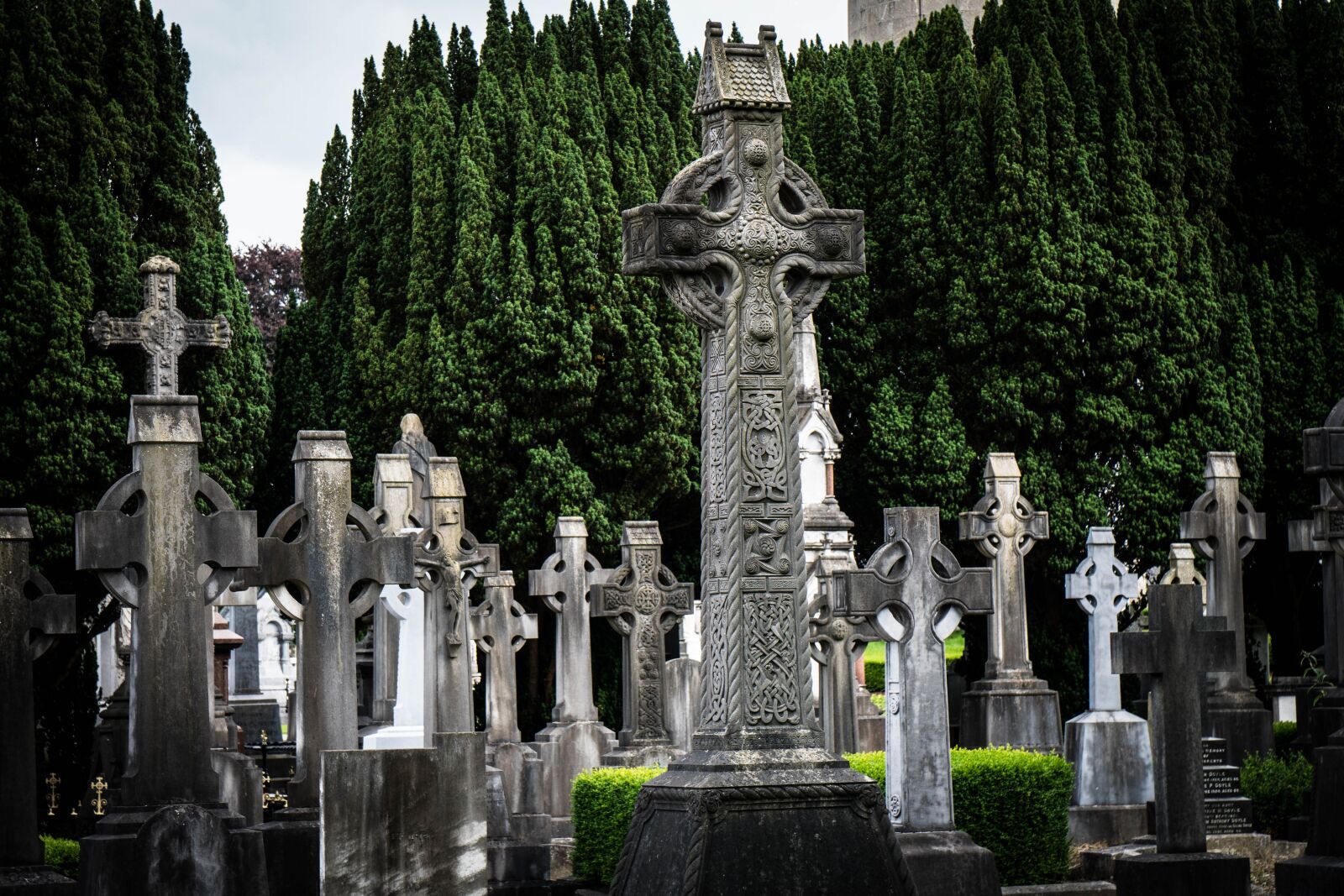 Sony a6500 + Sony Vario-Tessar T* E 16-70mm F4 ZA OSS sample photo. Glasnevin, dublin, ireland photography