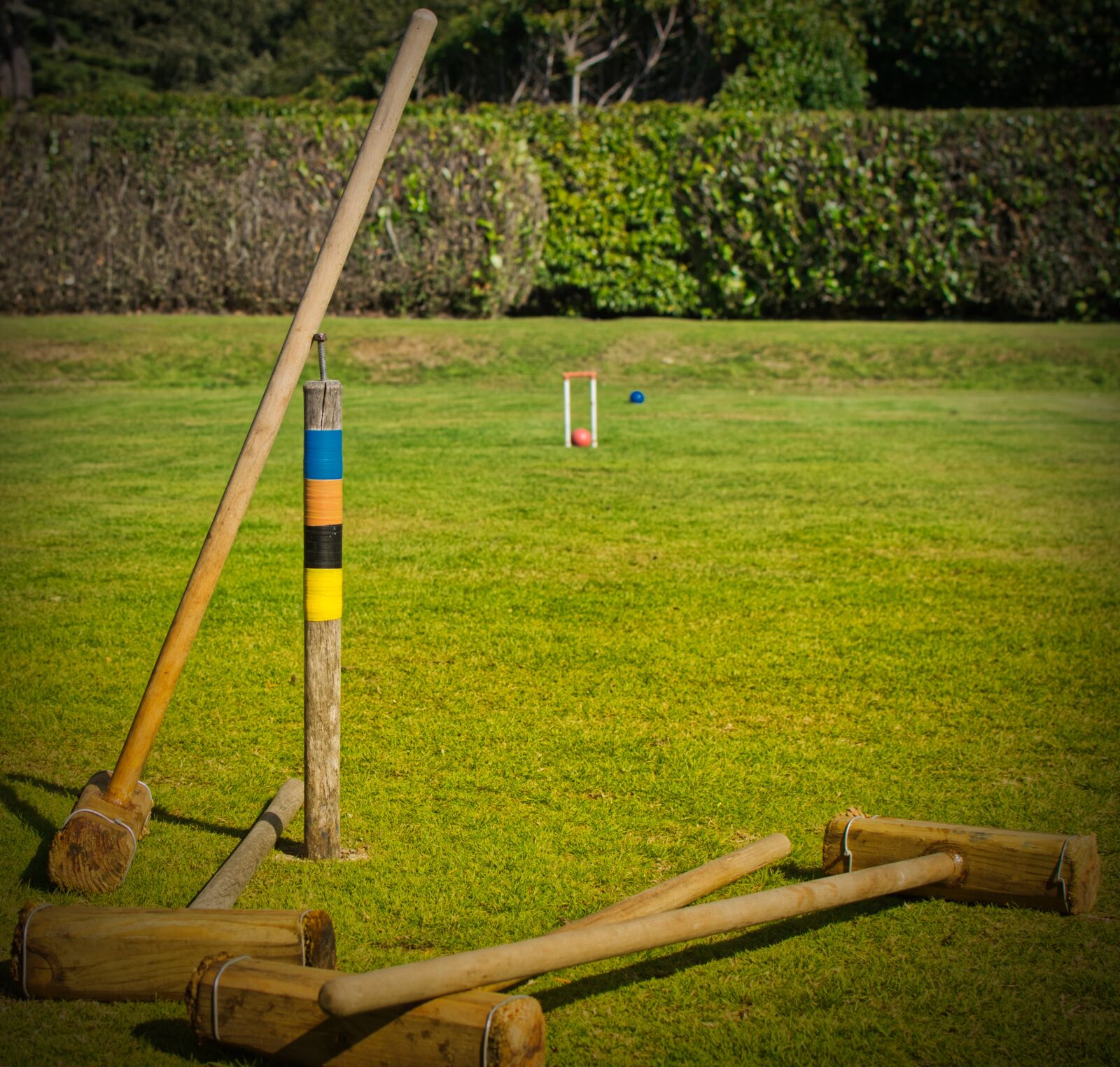 Nikon D5300 sample photo. Croquet, garden, play photography