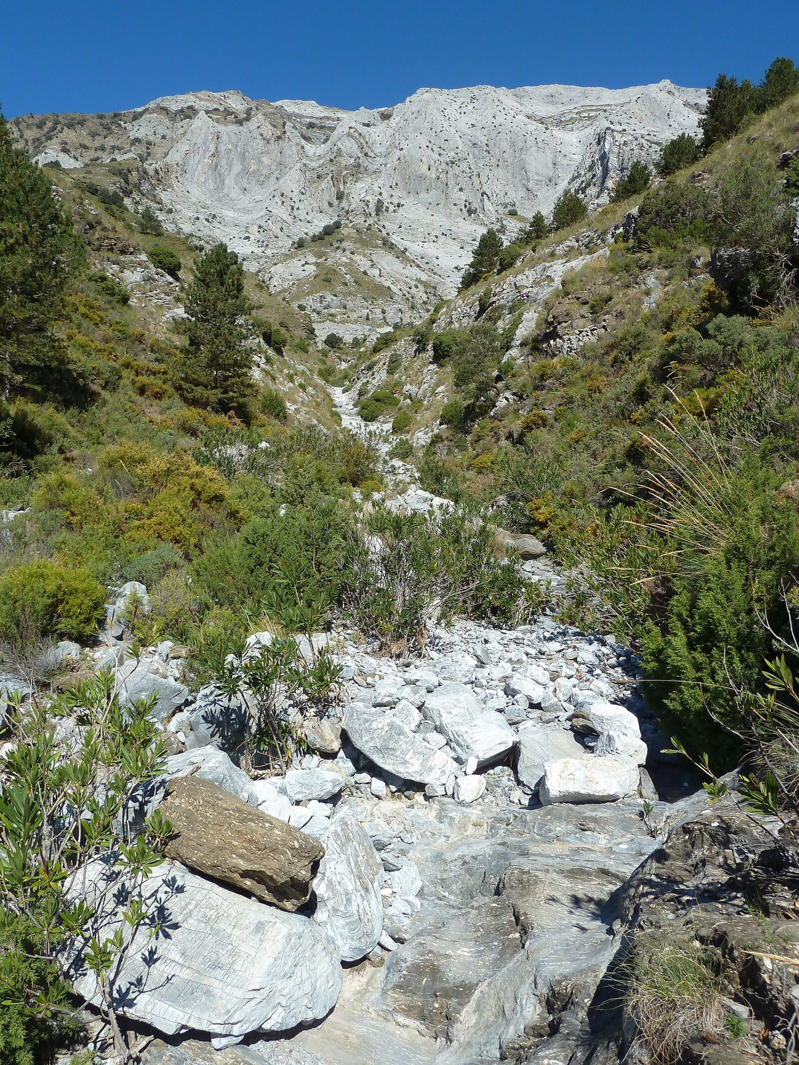 Panasonic Lumix DMC-ZS5 (Lumix DMC-TZ8) sample photo. Mountain, mountain river, landscape photography
