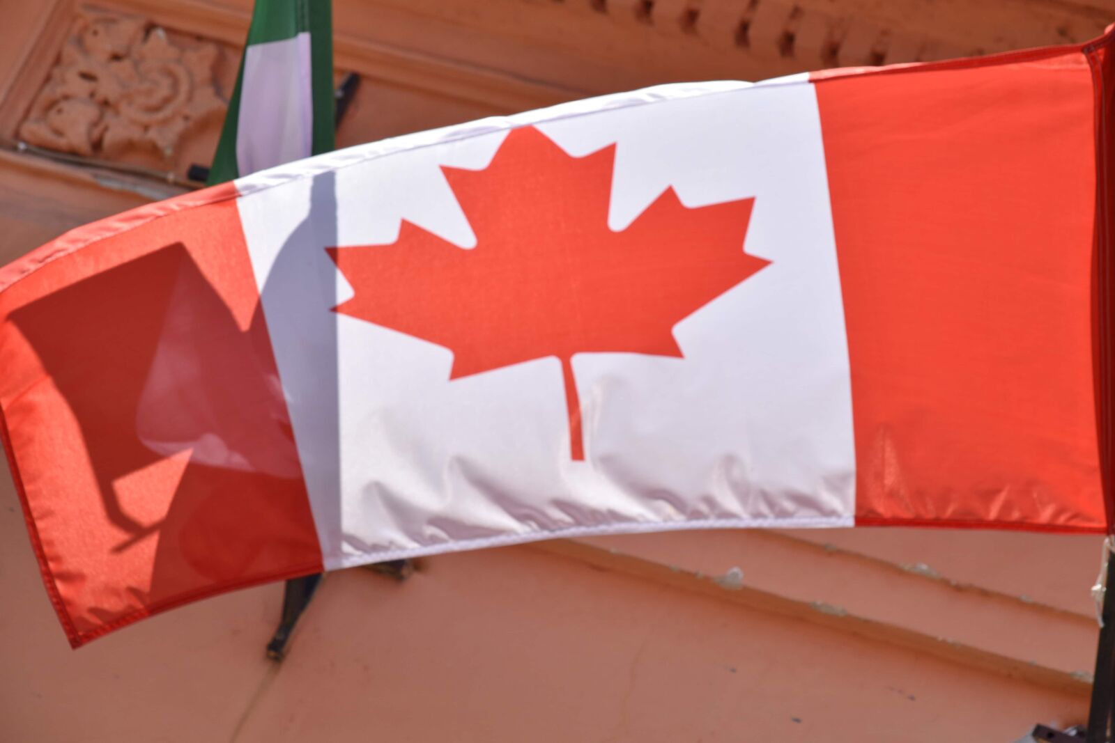 Nikon D5500 sample photo. Canadian, flag, emblem, national photography