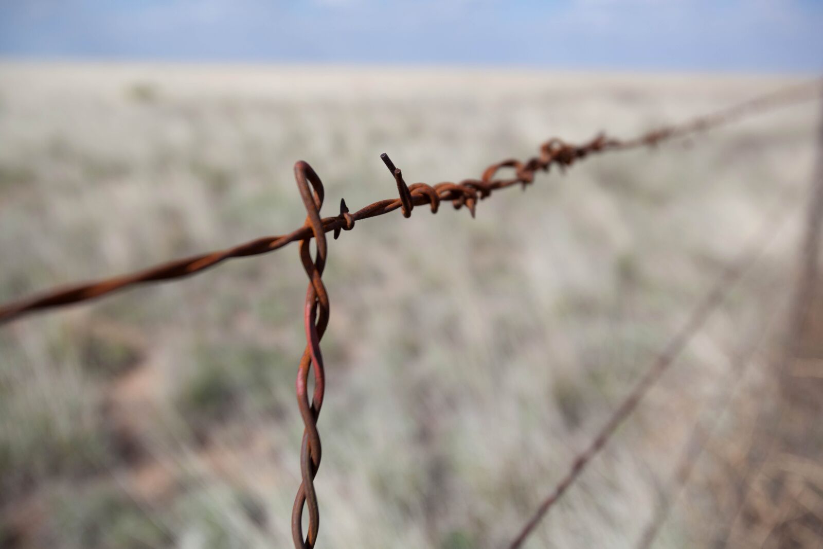 Canon EOS 5D Mark II sample photo. Scenic, prairie, barbed wire photography