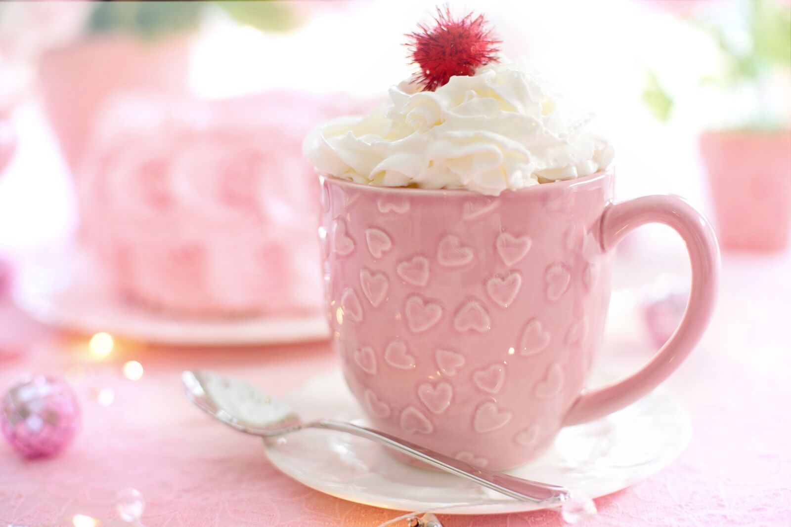Canon EF 50mm F1.4 USM sample photo. Valentine, valentine's day, hearts photography