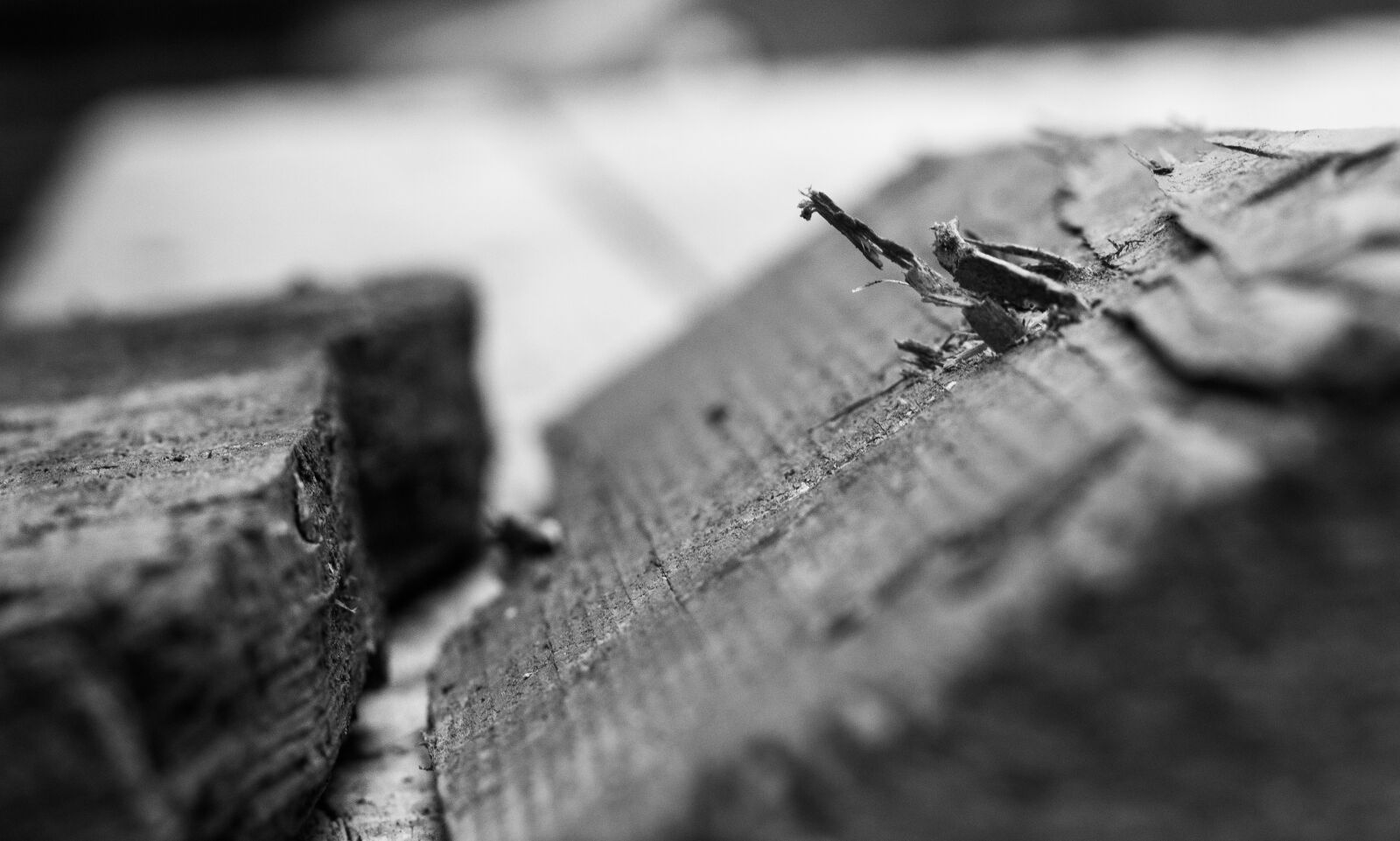 Canon EOS 700D (EOS Rebel T5i / EOS Kiss X7i) + Canon EF 50mm F1.8 STM sample photo. Building, work, leaves photography