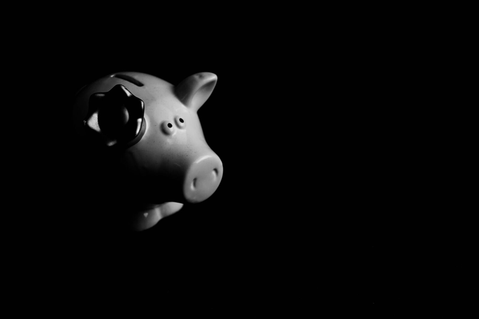 Sony a6000 sample photo. Piggy bank, pig, save photography