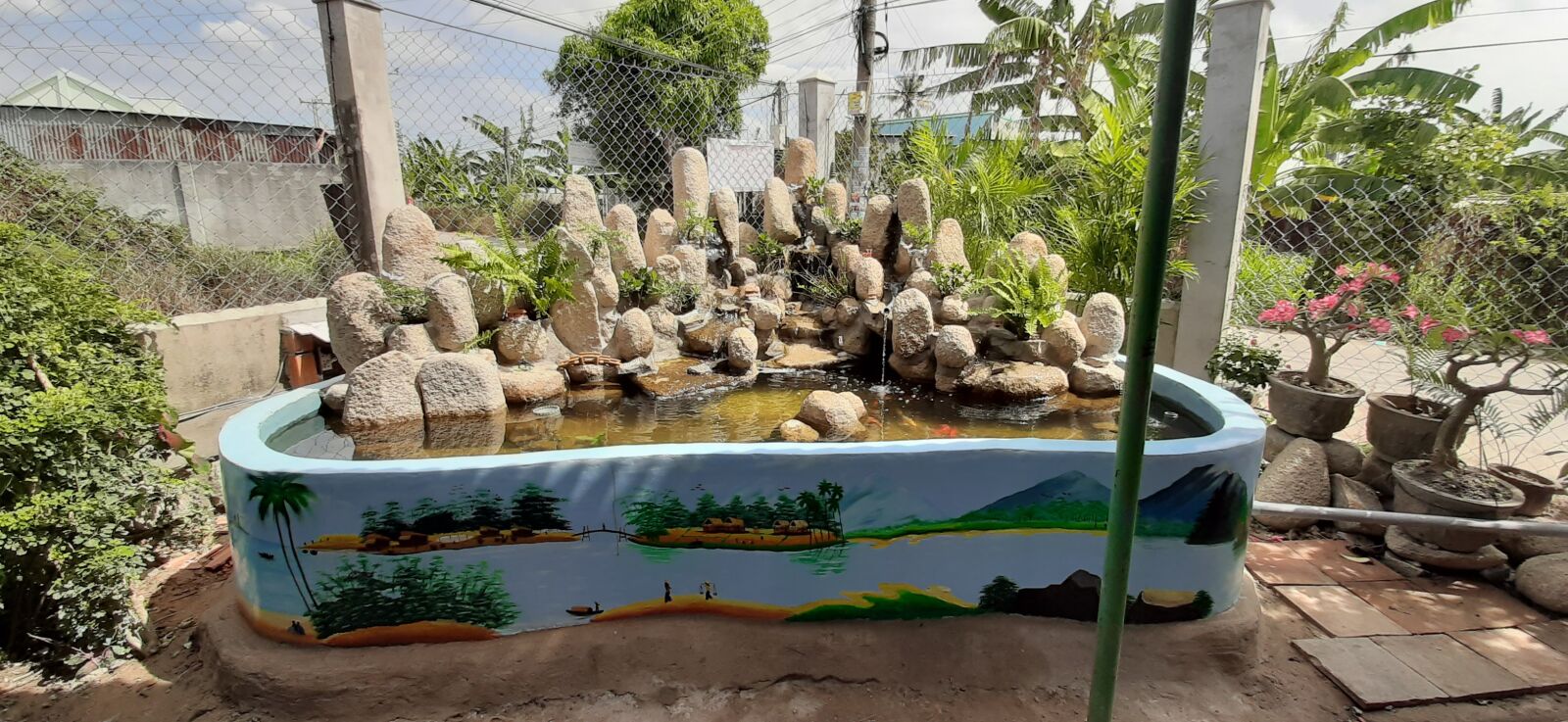 Samsung Galaxy A50 sample photo. Aquarium, diy aquarium, fish photography