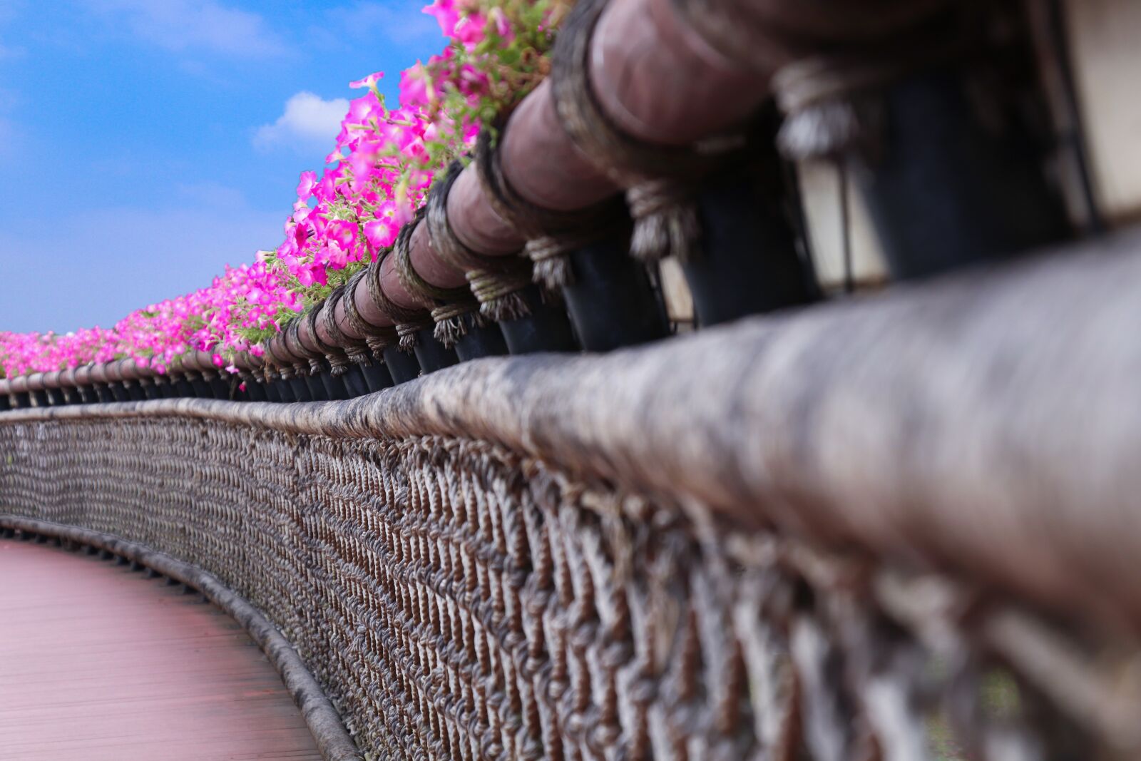 Canon EF-S 18-135mm F3.5-5.6 IS USM sample photo. Bridge, railing, flower photography