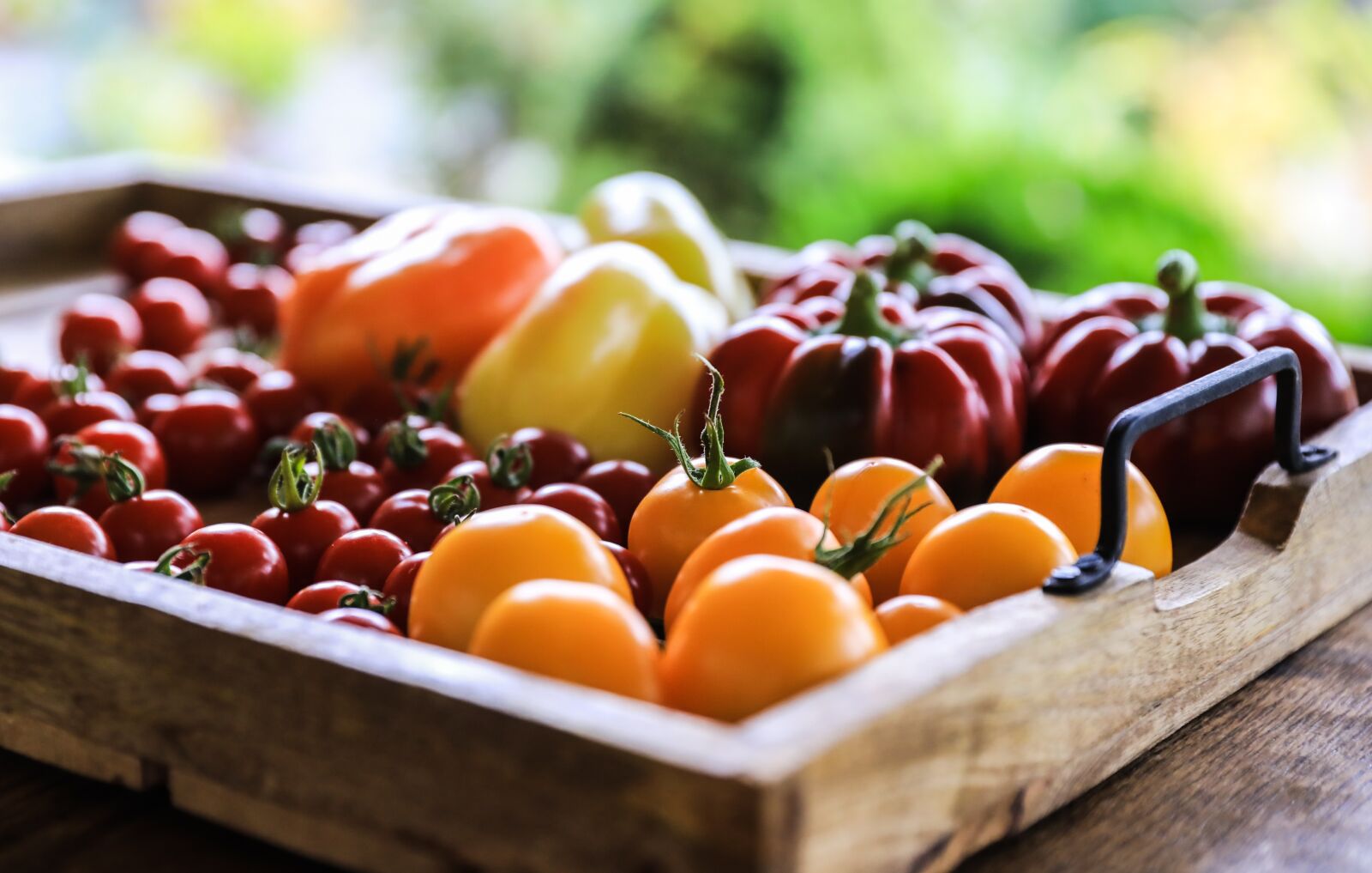 Canon EOS 5D Mark IV sample photo. Vegetables, pepper, tomatoes photography