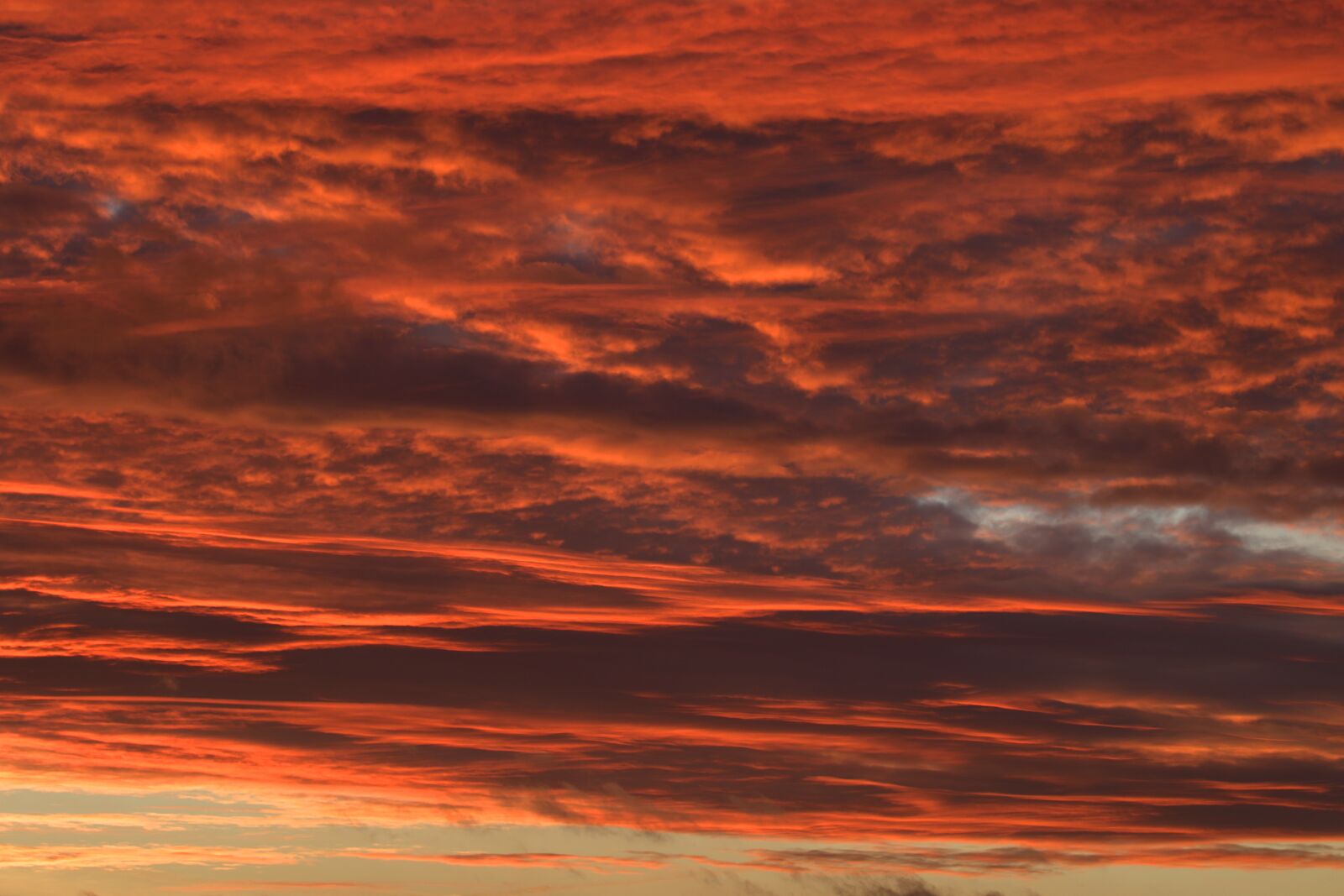 Canon EOS 7D Mark II sample photo. Evening sky, winter evening photography