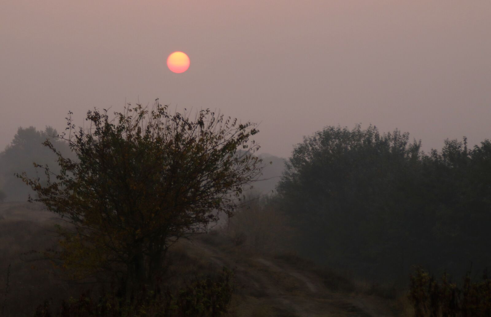 Canon EOS 7D Mark II sample photo. Sunrise, the haze, landscape photography