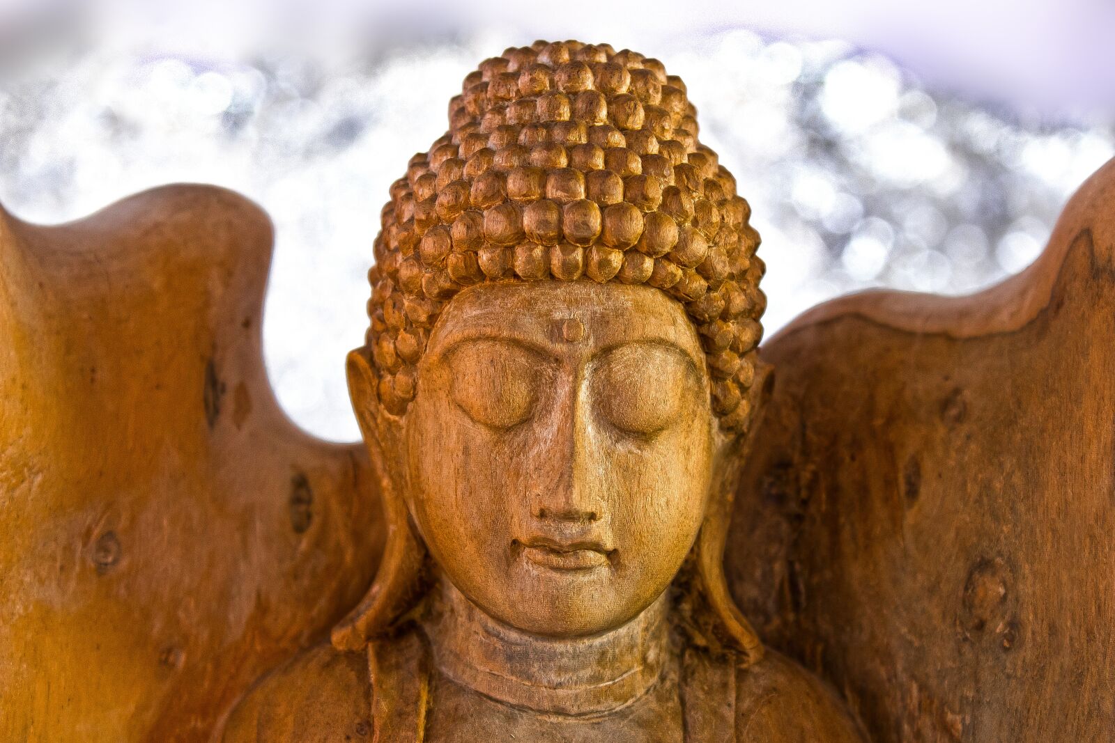 Canon EOS 1300D (EOS Rebel T6 / EOS Kiss X80) sample photo. Buddha, siddhartha gautama, founder photography