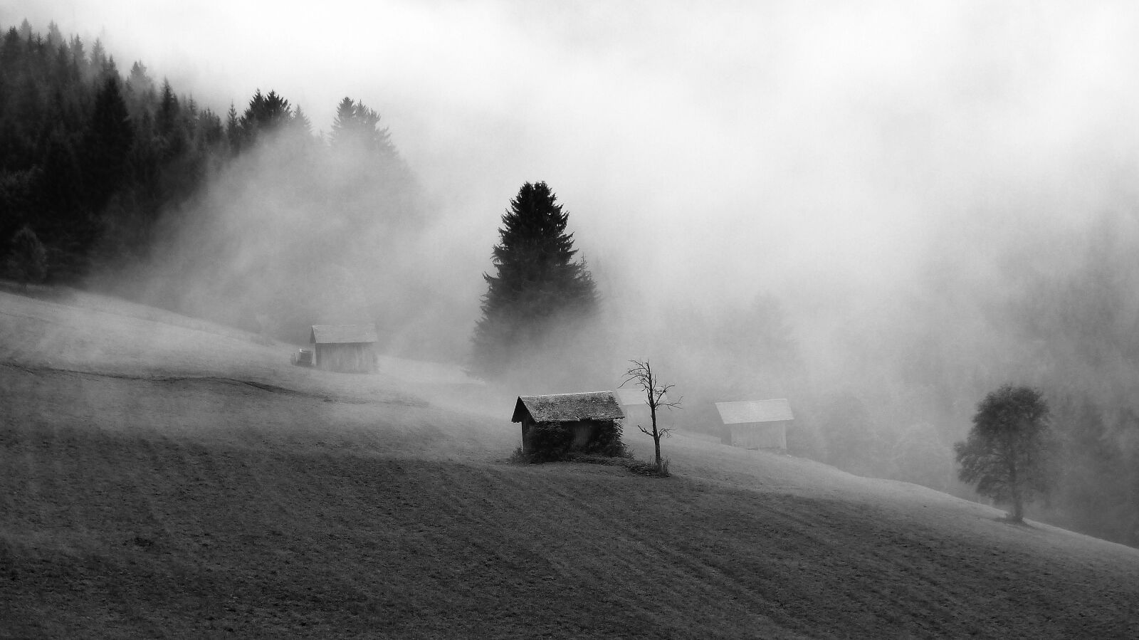 Panasonic Lumix DMC-FZ200 sample photo. Morning, mist, landscape photography