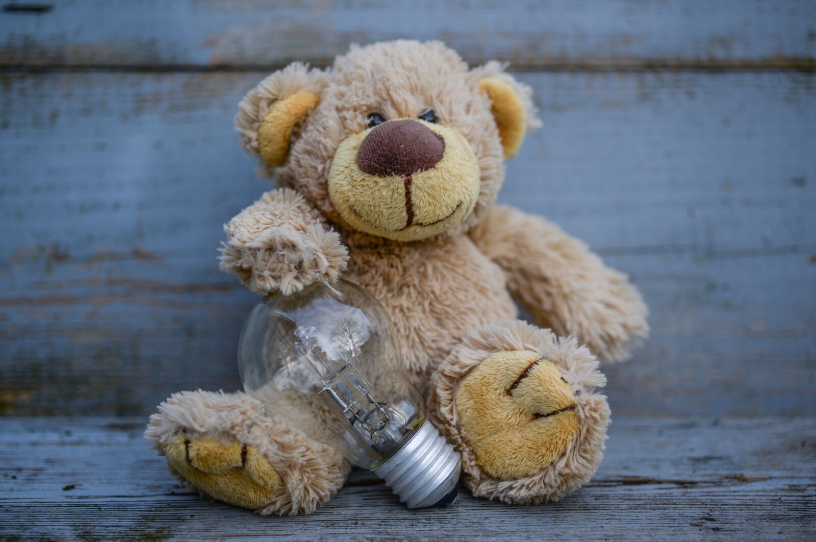 Nikon D610 sample photo. Idea, lamp, holding photography