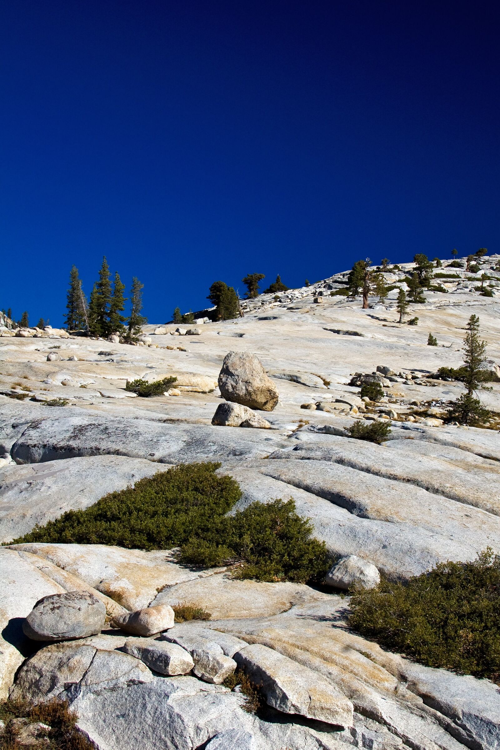 Nikon D50 sample photo. Yosemite, national park, california photography
