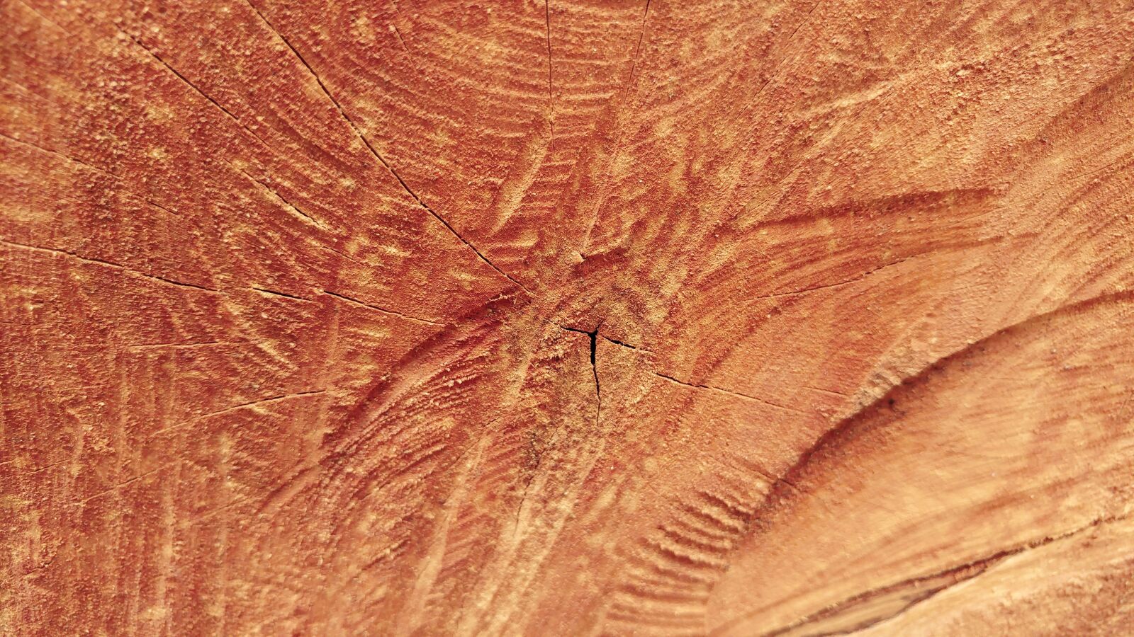 LG G5 sample photo. Sawn, wood, log photography
