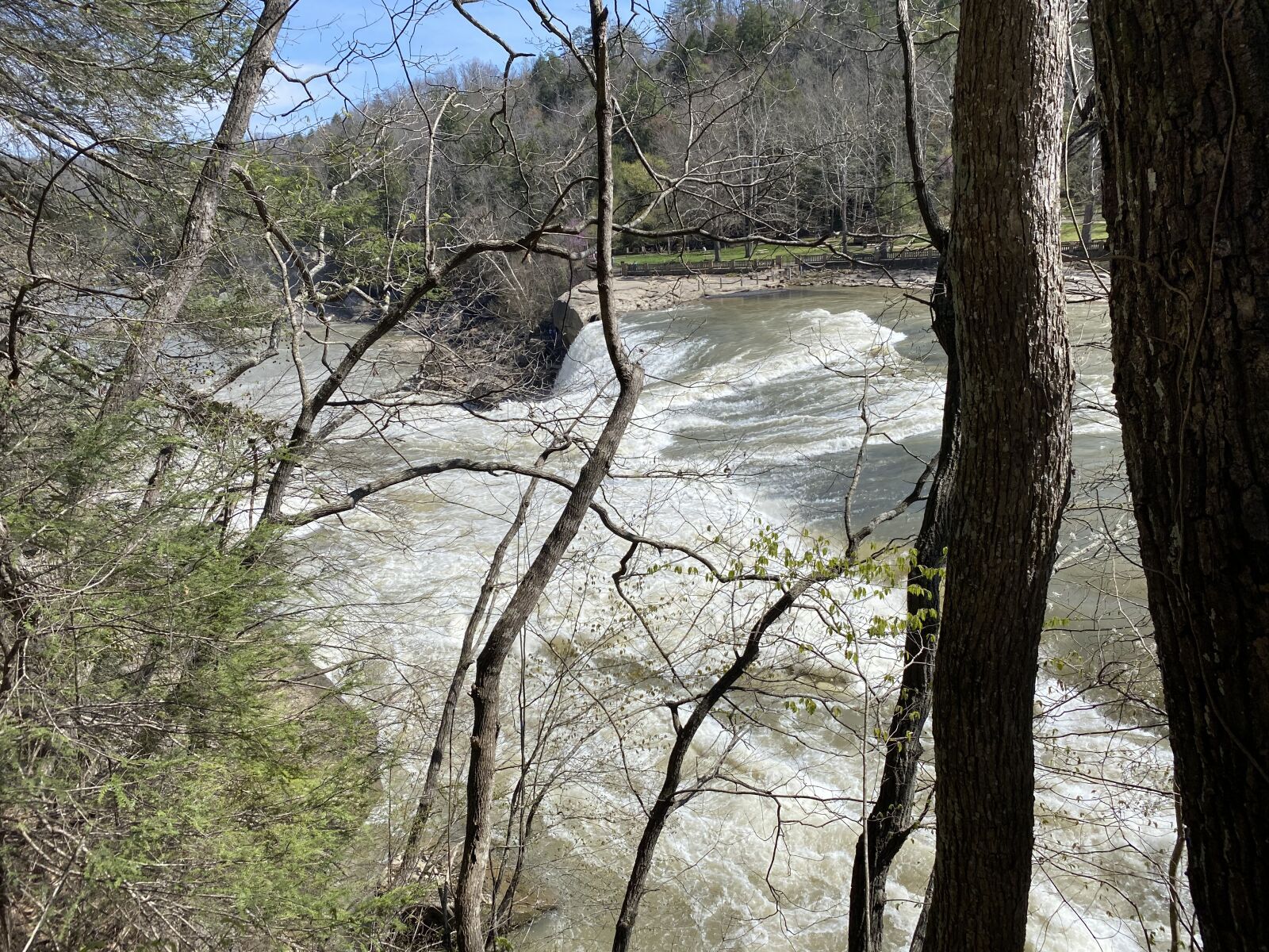 Apple iPhone 11 sample photo. Waterfall, water, trees photography