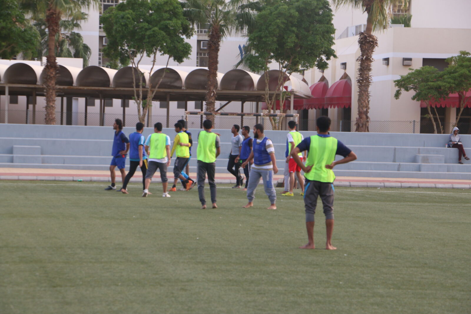 Canon EOS 70D sample photo
