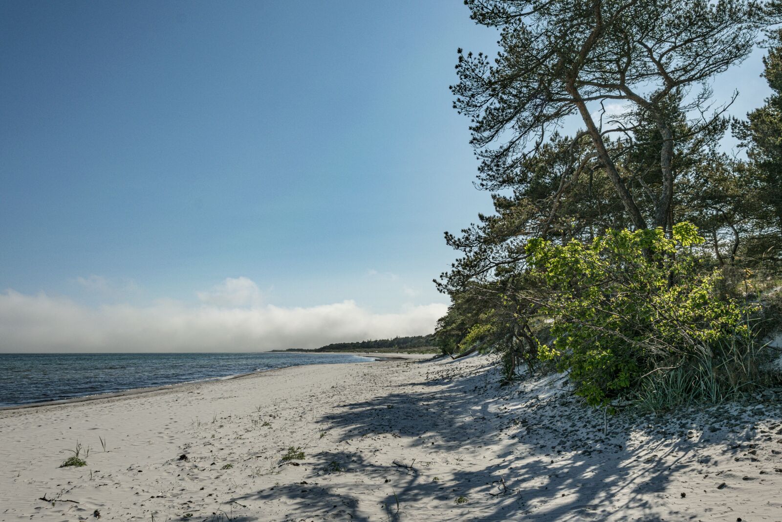 Nikon D5300 sample photo. Beach, baltic sea, coast photography