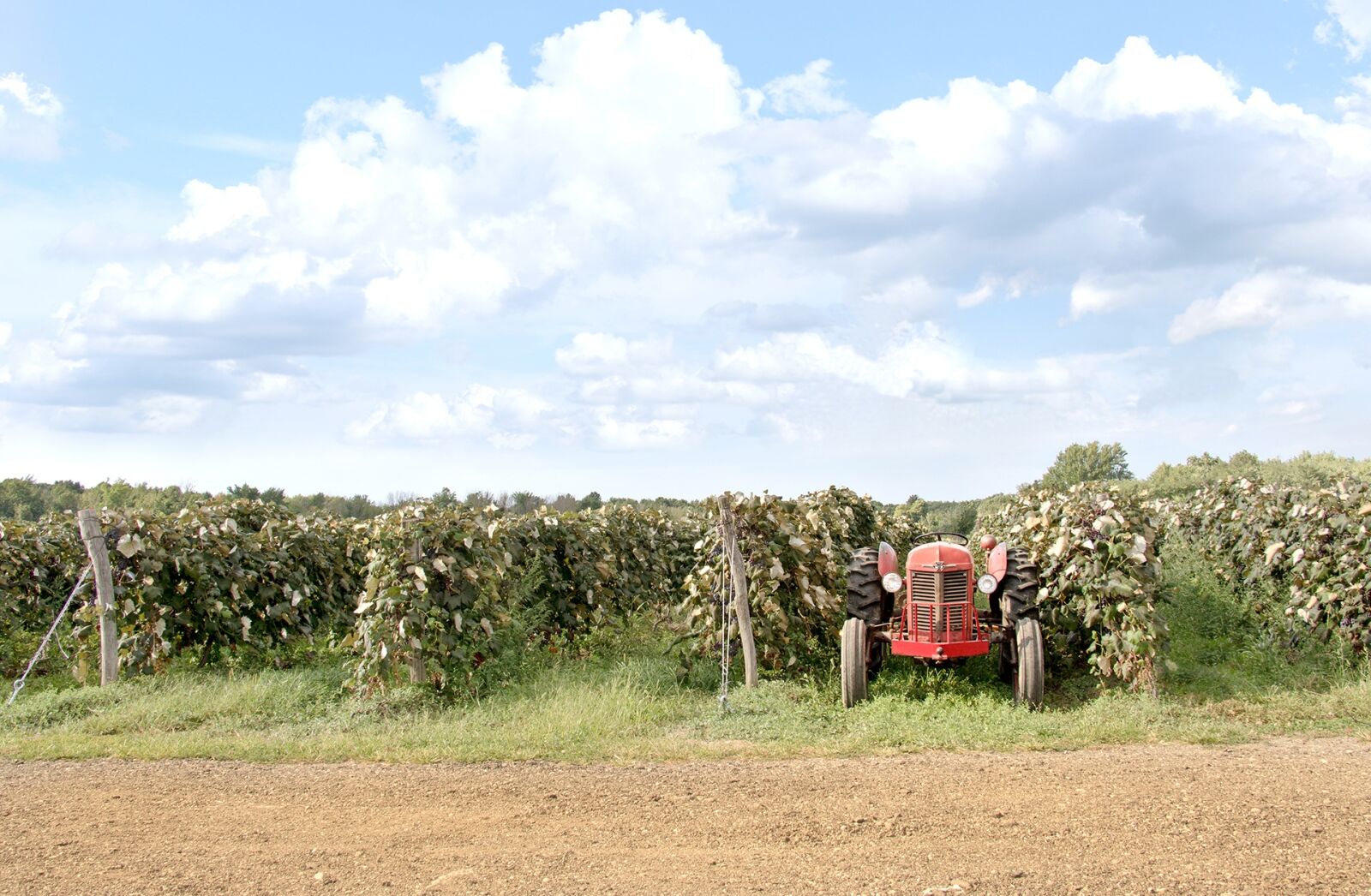 Canon EOS 7D Mark II sample photo. Red, tractor, farm photography