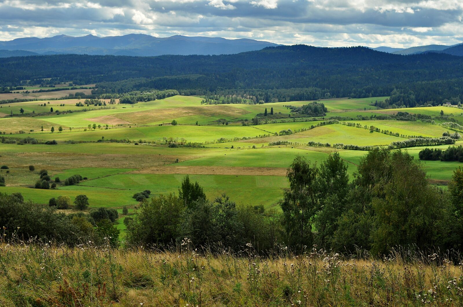 Nikon D90 sample photo. View, mountains, top view photography