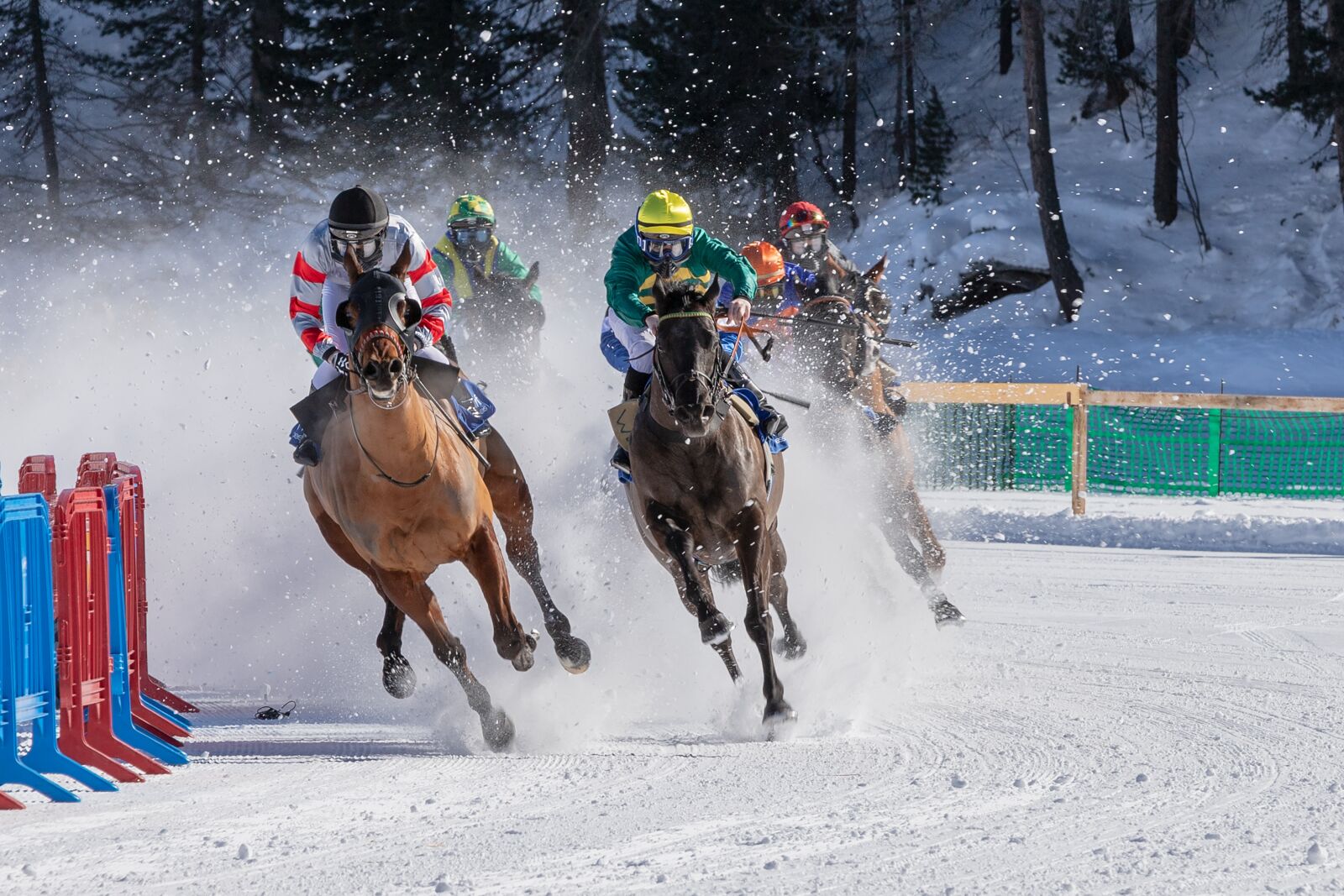 Canon EOS 6D Mark II sample photo. White turf, horse racing photography