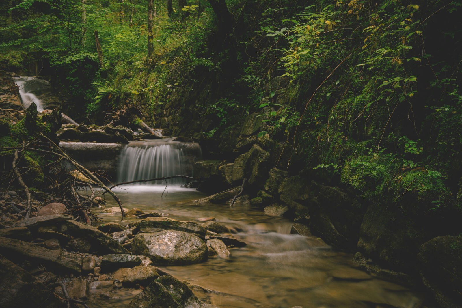 Nikon D5300 + Sigma 18-35mm F1.8 DC HSM Art sample photo. Forest, and, water, falls photography