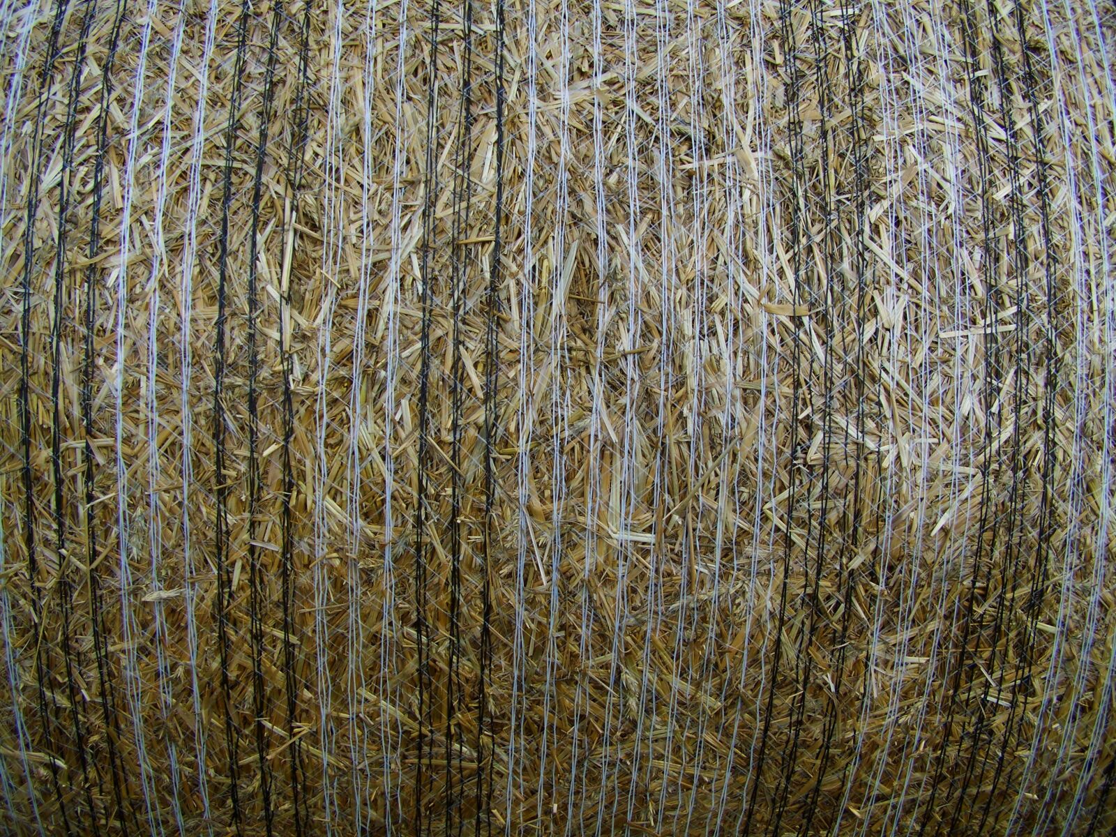 Kodak EASYSHARE ZD710 ZOOM DIGITAL CAMERA sample photo. Straw bale, compressed grain photography
