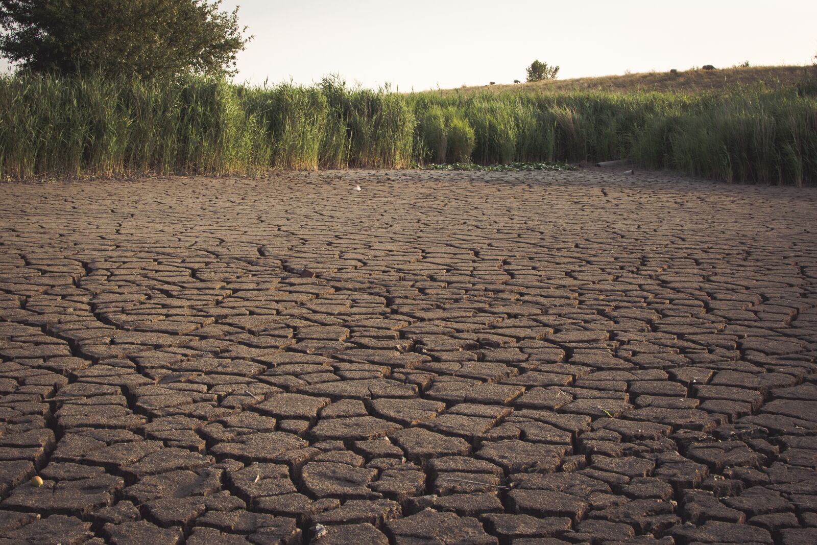 Nikon D3300 sample photo. Dehydrated, lake, dry photography