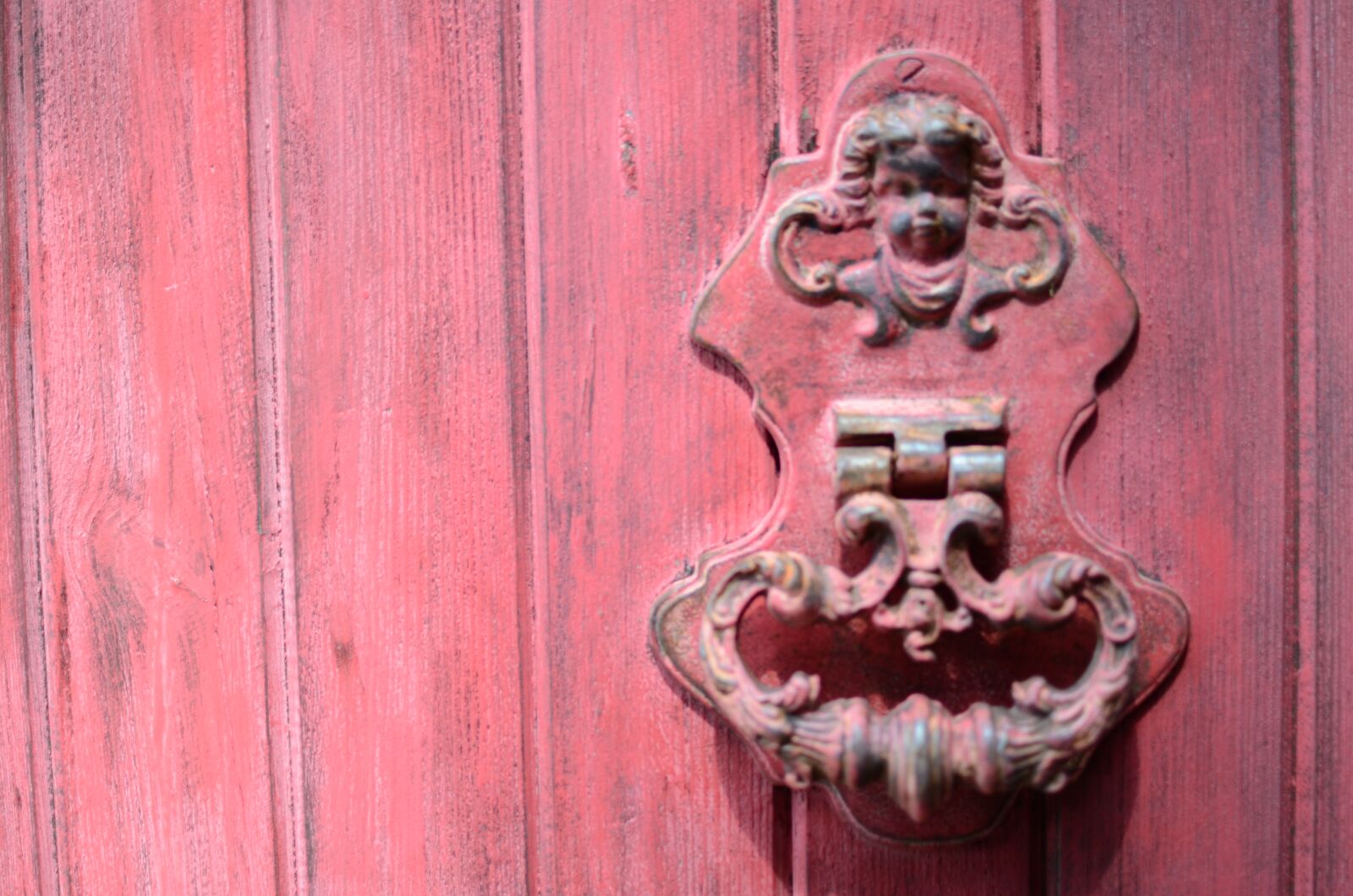 Nikon D7000 sample photo. The door, roses, the photography