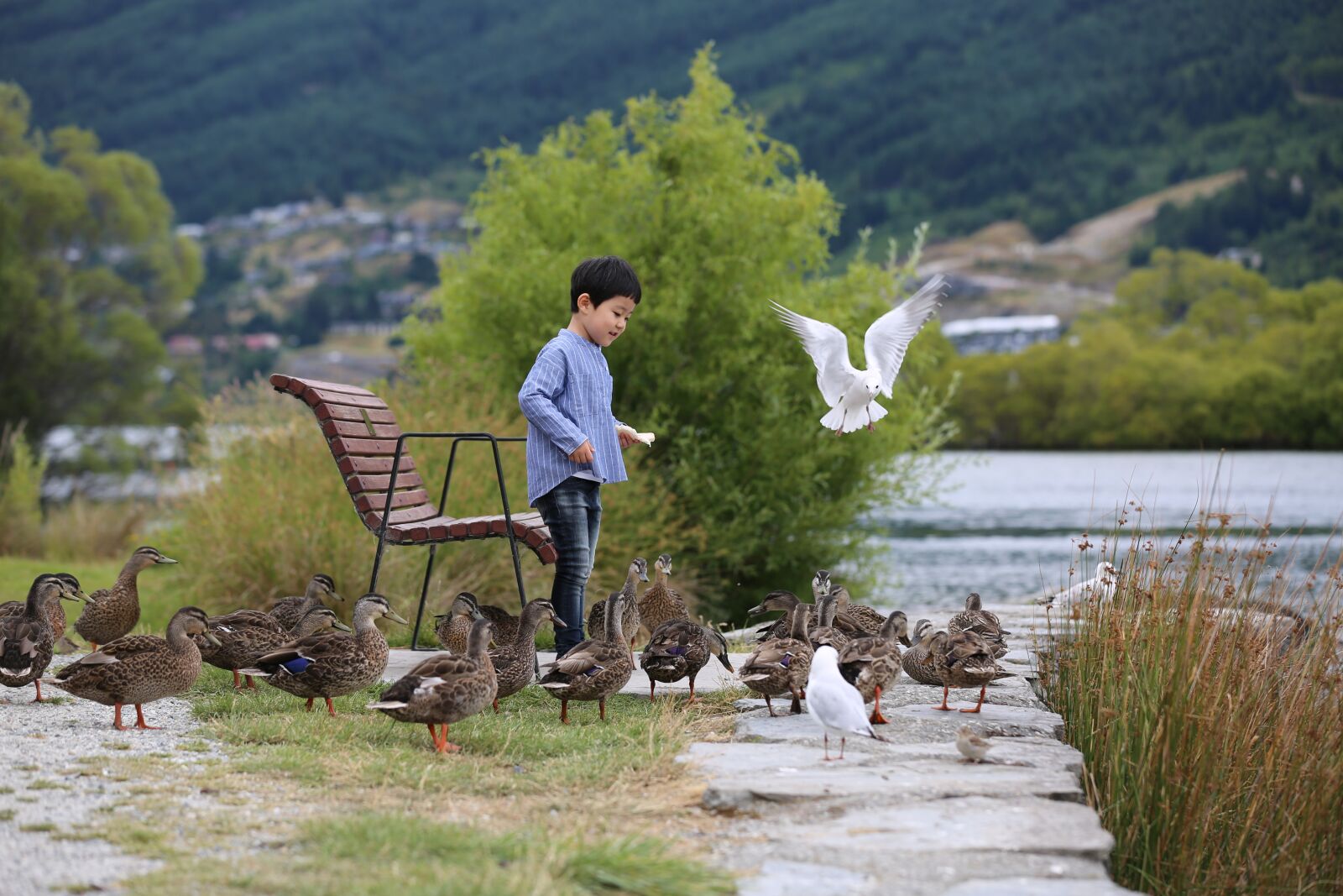 Canon EOS 5D Mark III sample photo. Duck, birds, feed photography