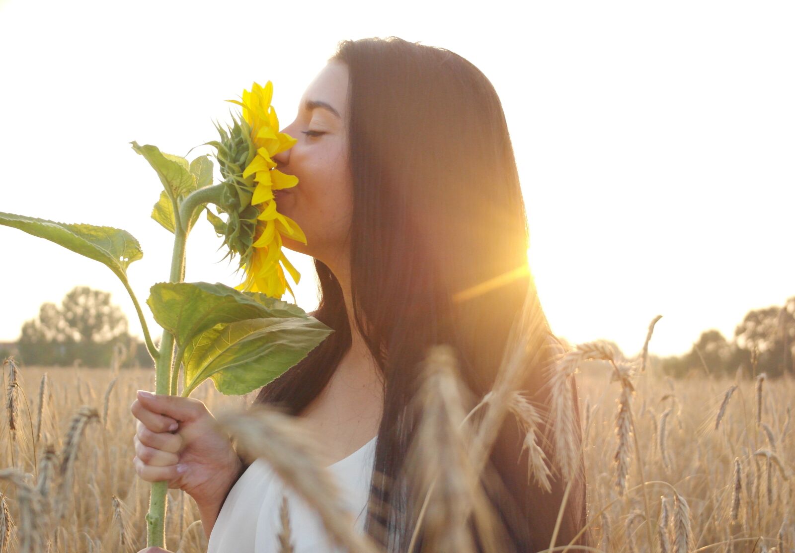 Samsung NX1000 sample photo. Woman, summer, sunflower photography