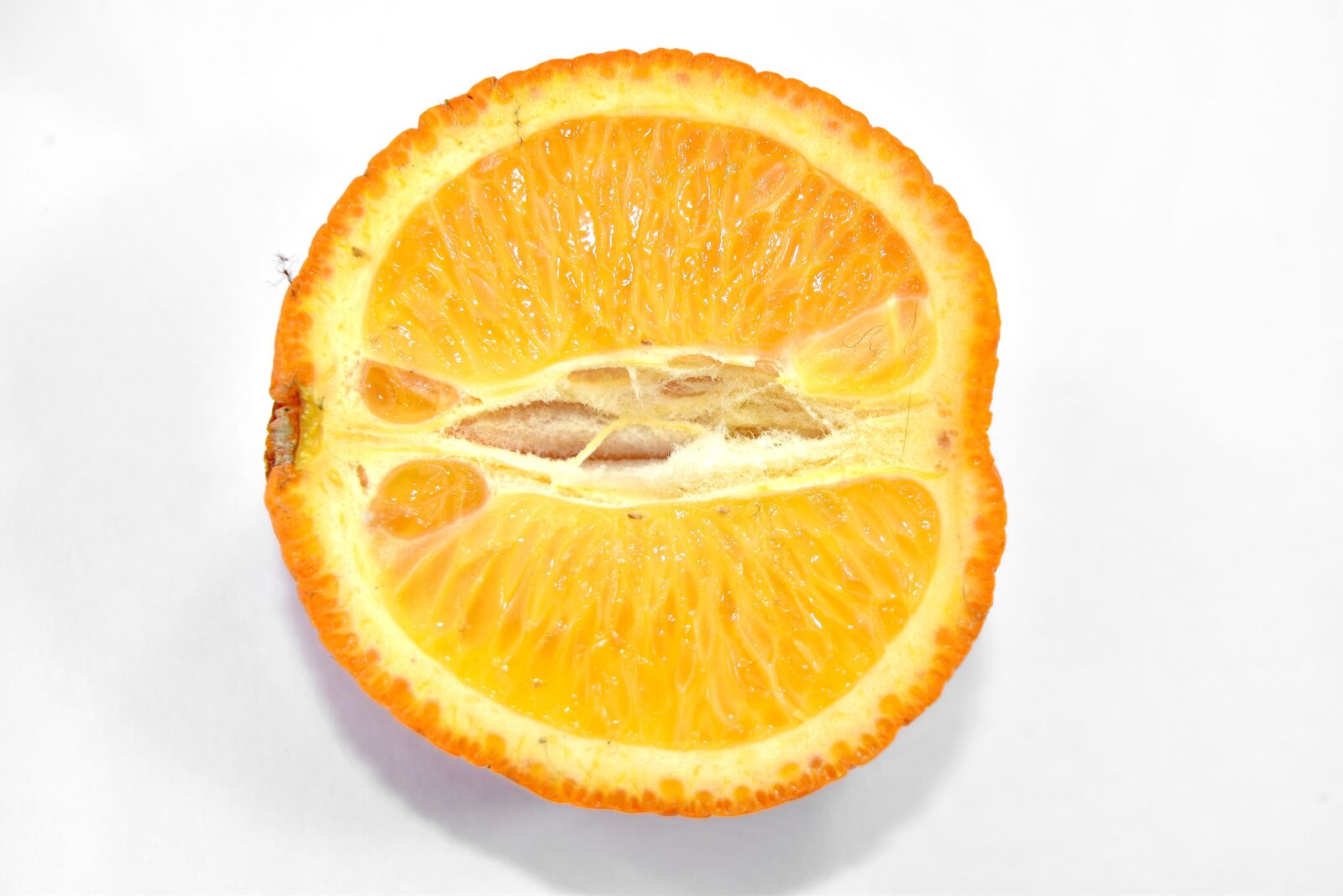 Nikon D5500 sample photo. Circle, citrus, cross section photography