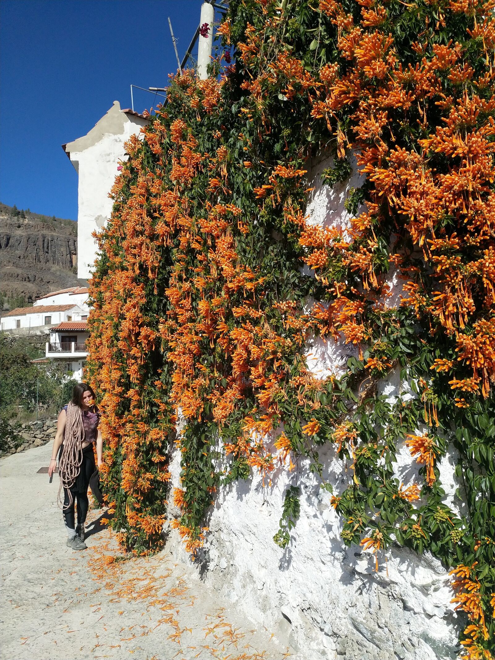 HMD Global Nokia 8 sample photo. Gran canaria, village, fataga photography