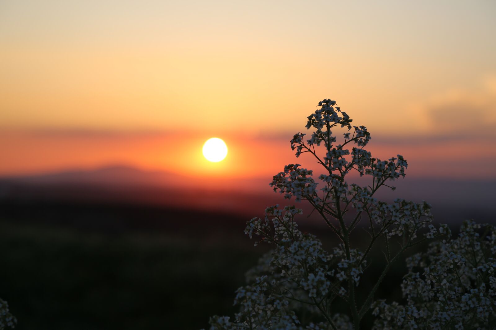 Canon EF 24-105mm F4L IS USM sample photo. Sunset, dawn, solar photography