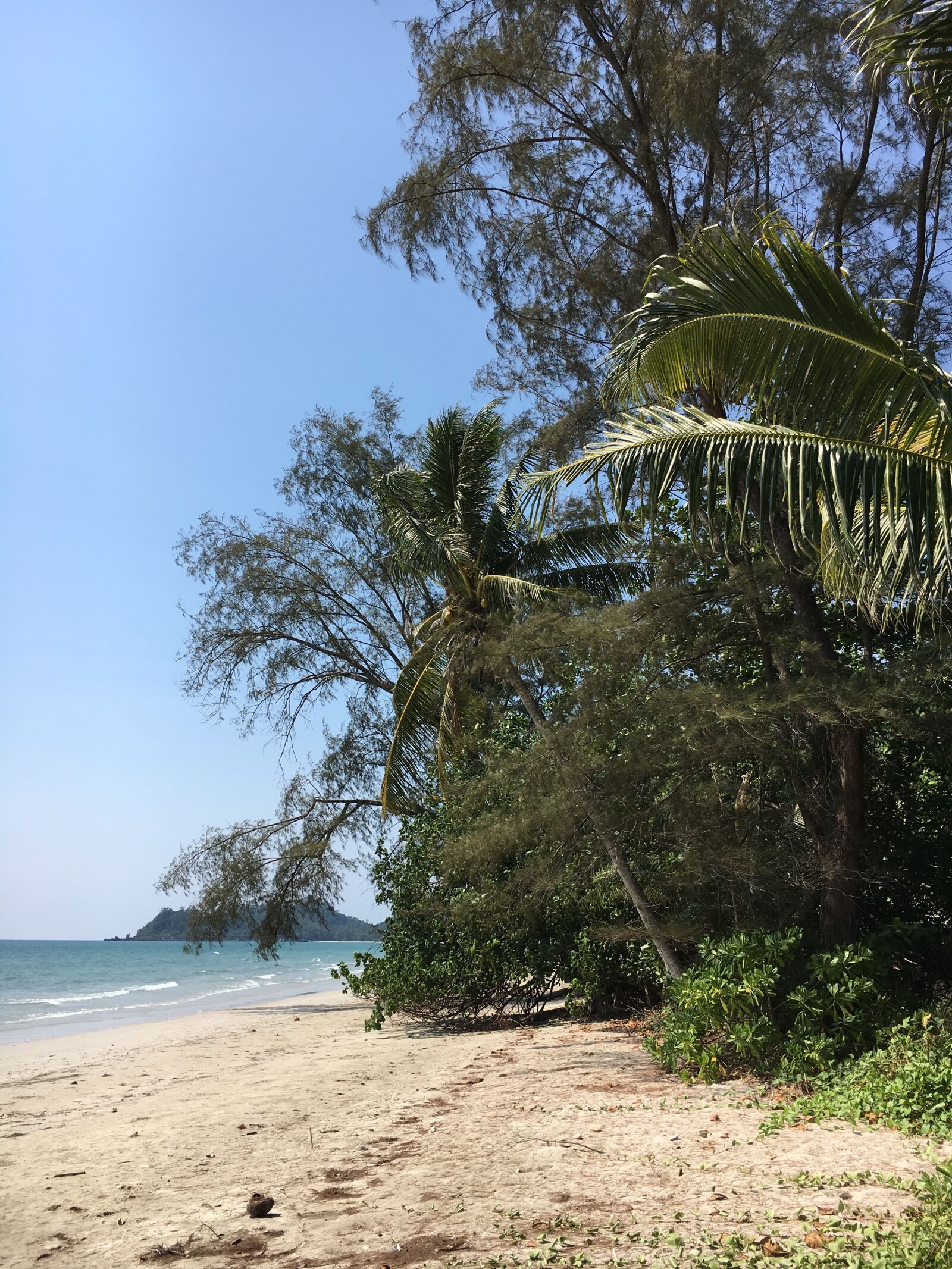 Apple iPhone 6s sample photo. Asia, thailand, koh chang photography