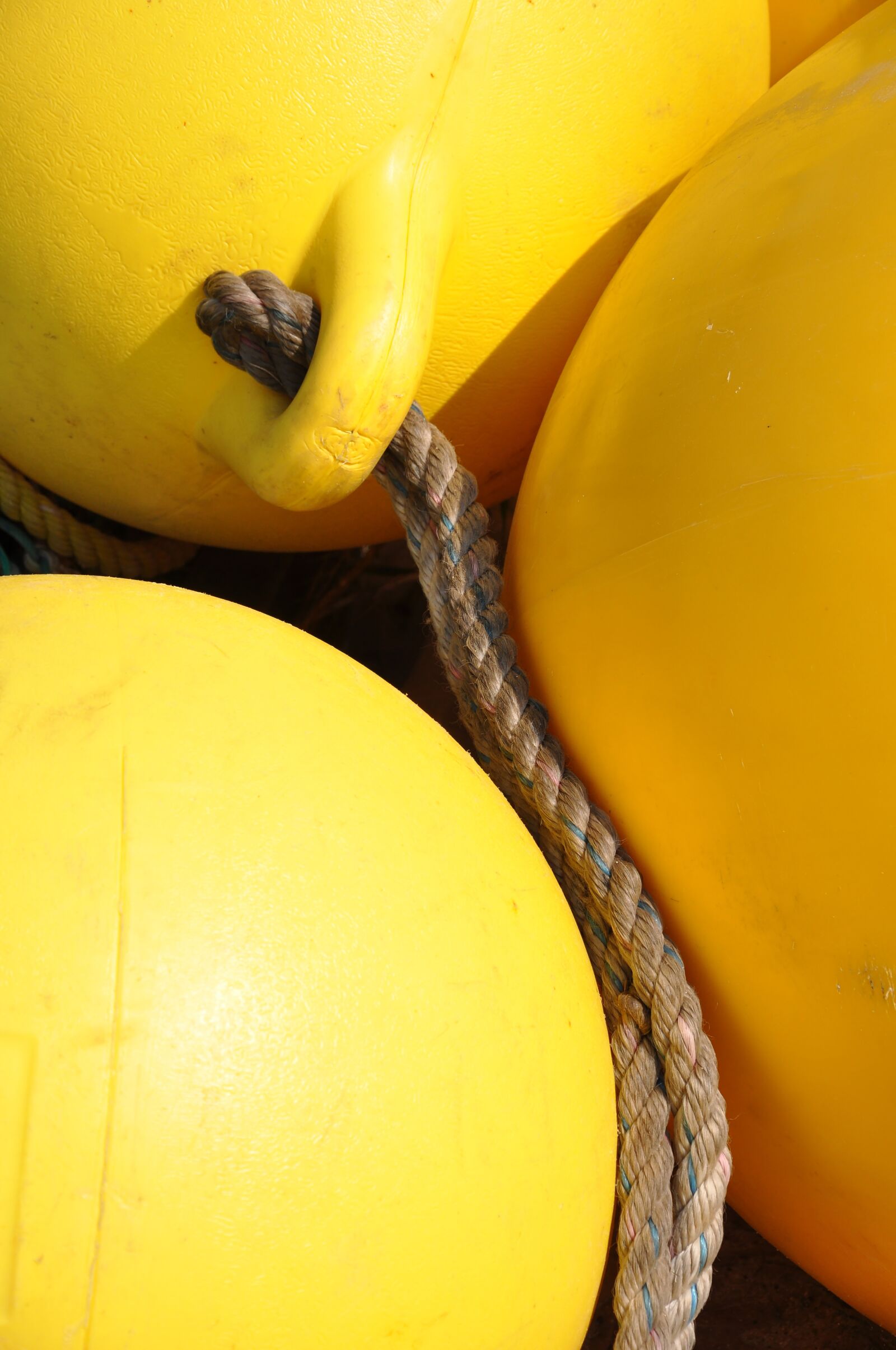 Nikon D90 sample photo. Sea, buoy, safety photography