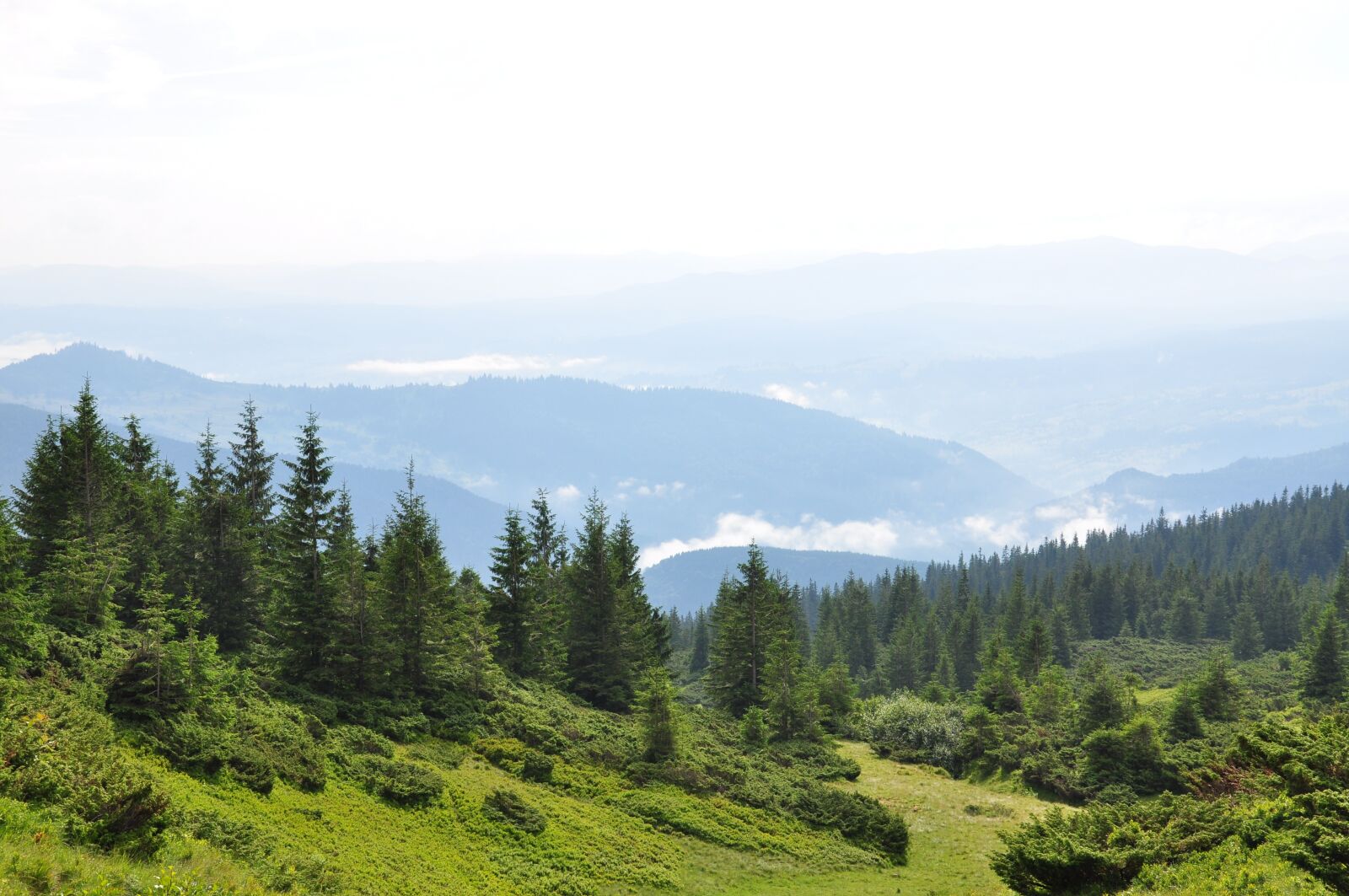 Nikon D90 sample photo. The carpathians, mountains, forest photography